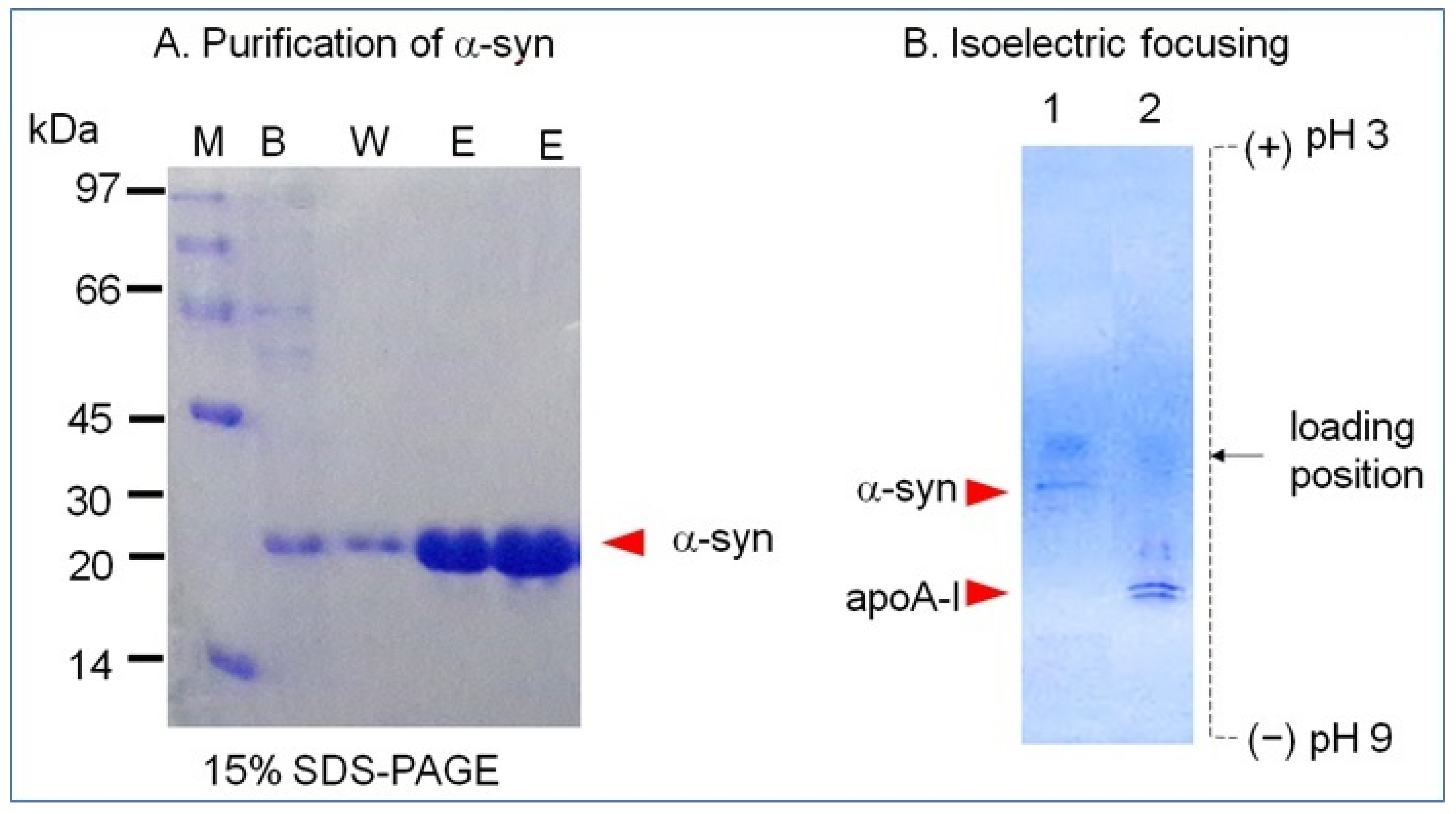 Molecules 26 07485 g001