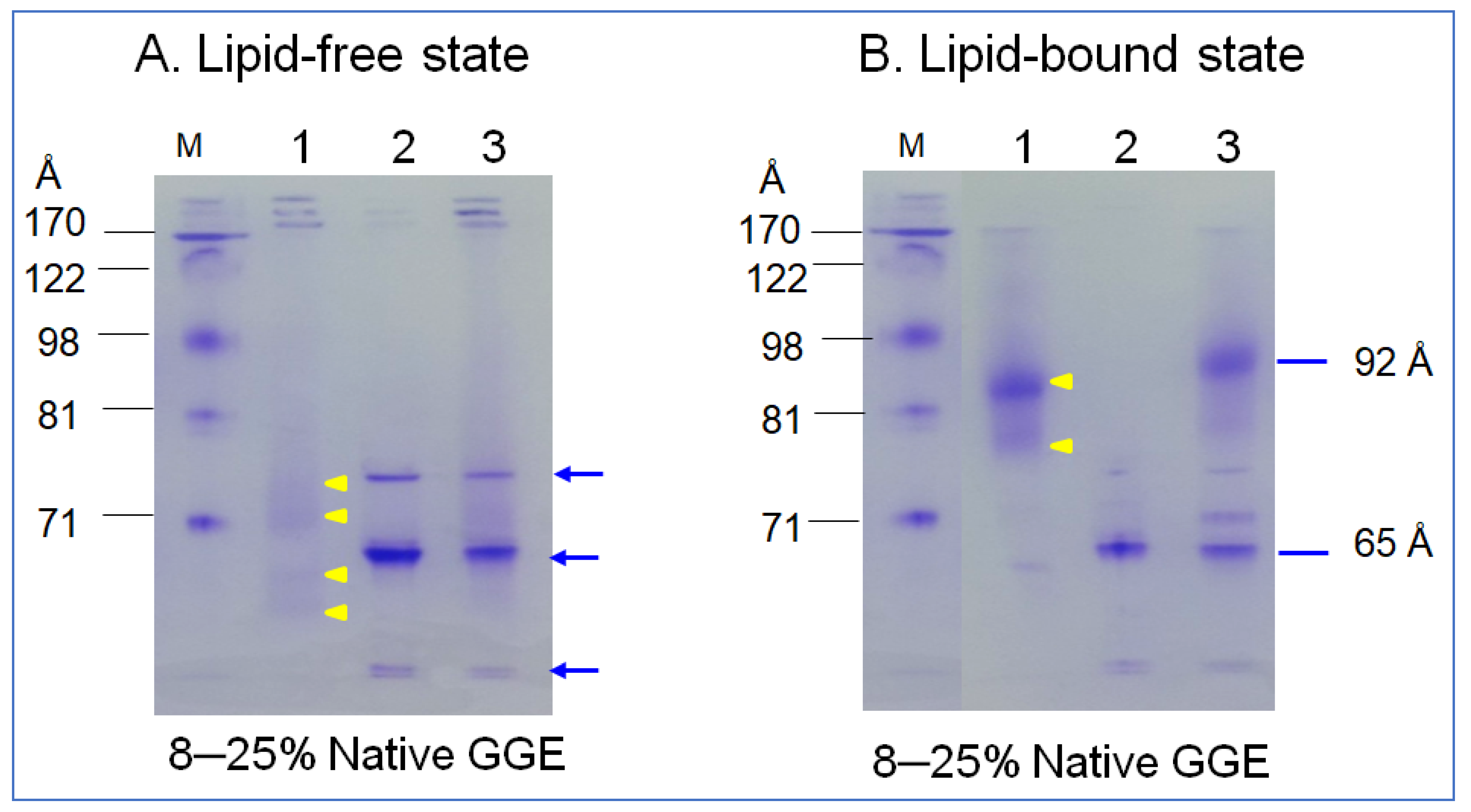 Molecules 26 07485 g003