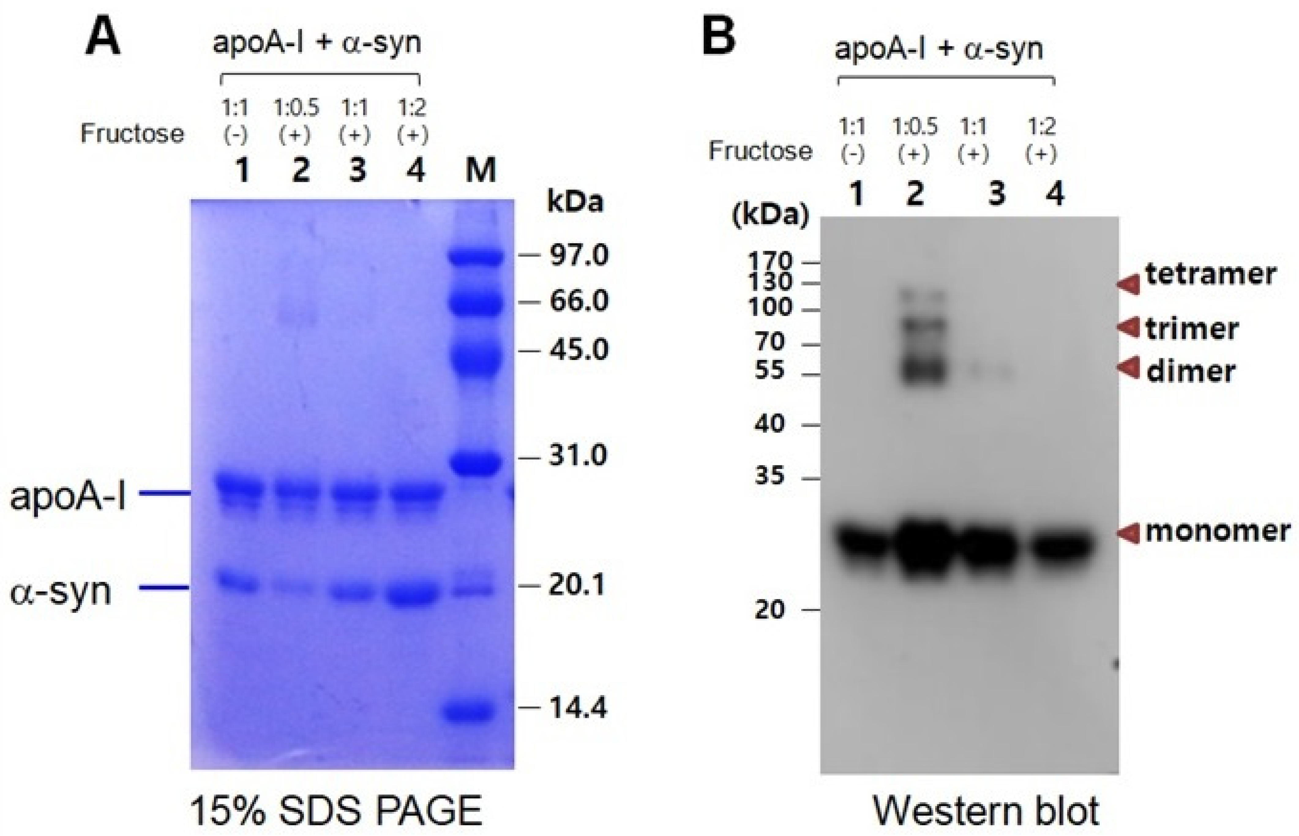 Molecules 26 07485 g007