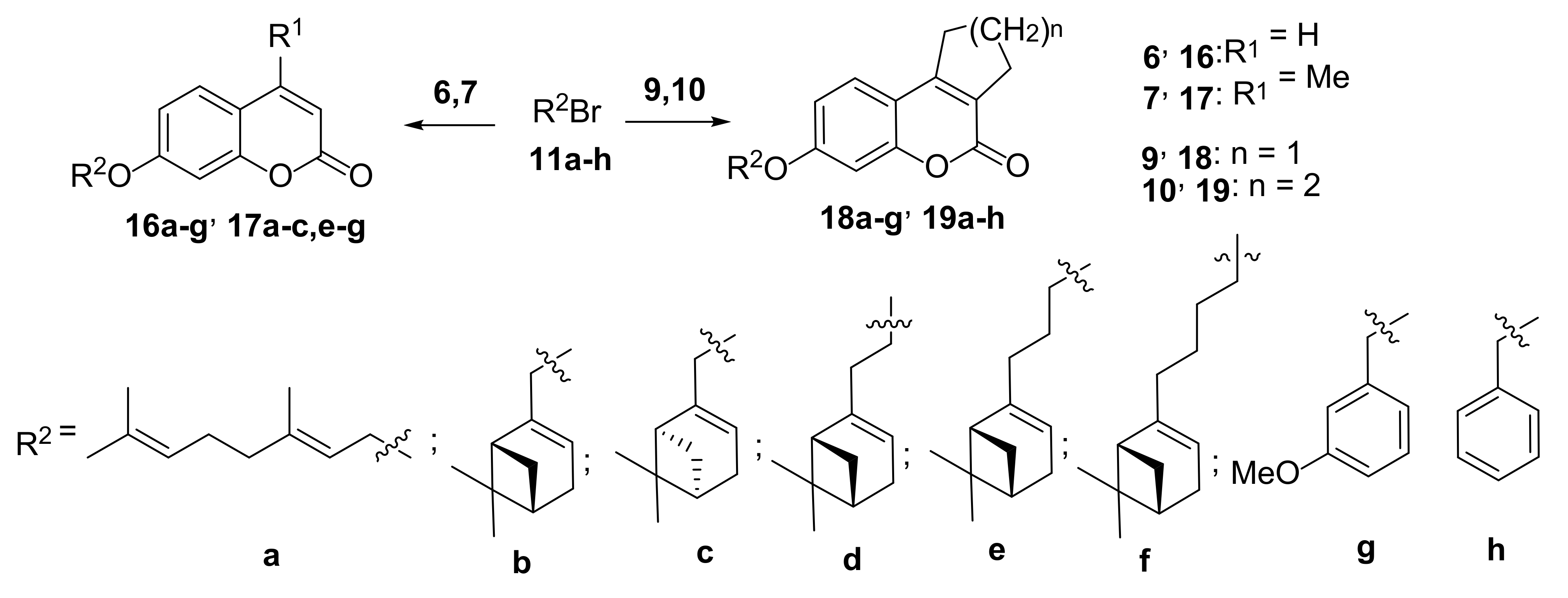 Molecules 26 07493 sch004