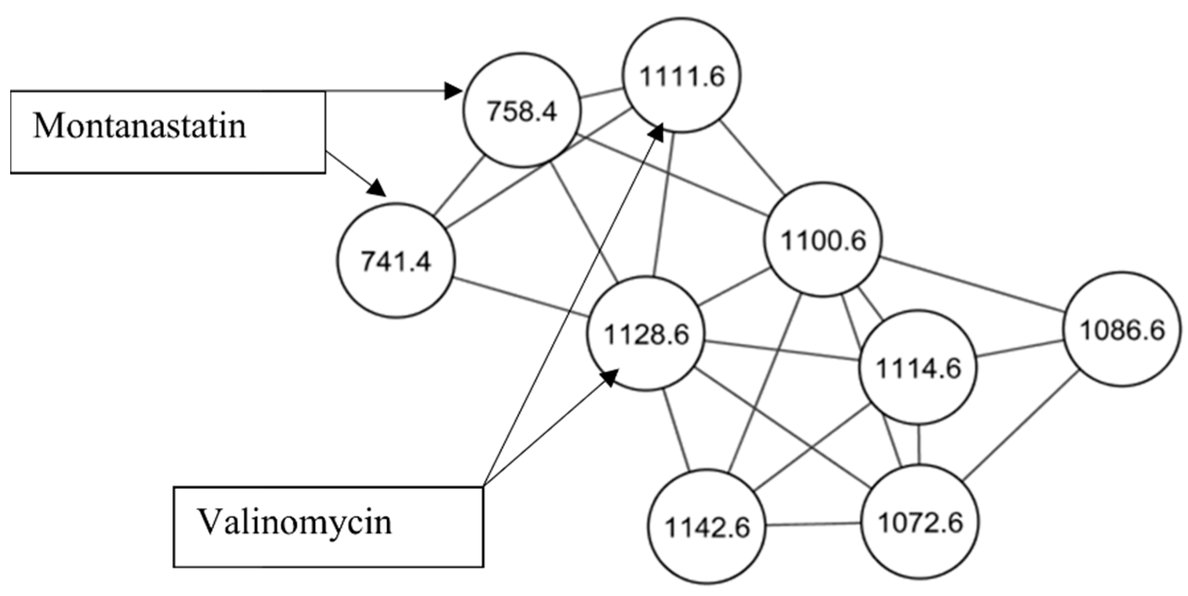 Molecules 26 07494 g001 Molecules 26 07494 g001