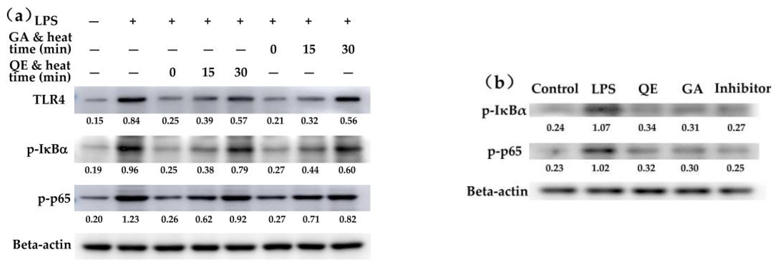 Molecules 26 07495 g003