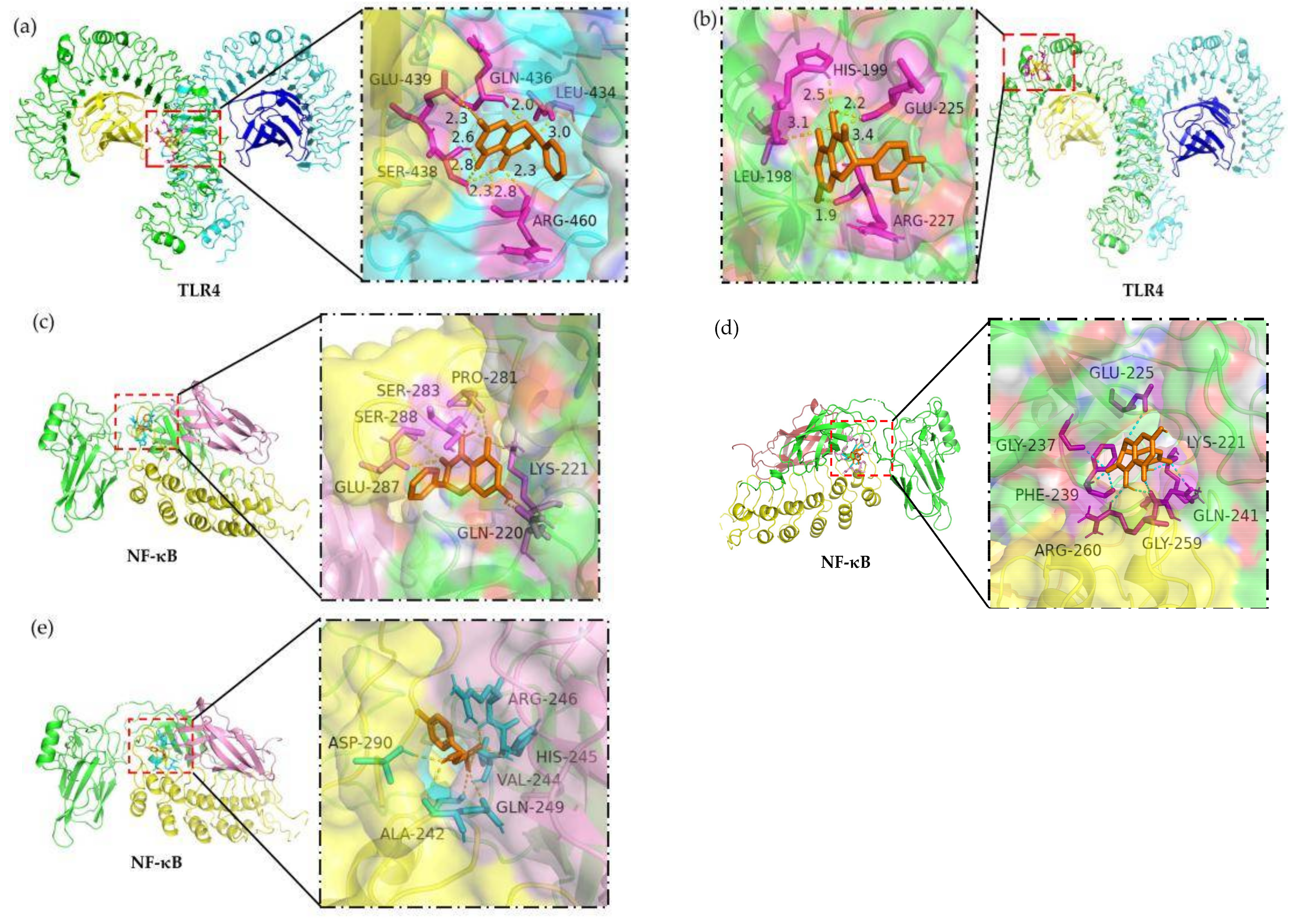Molecules 26 07495 g004