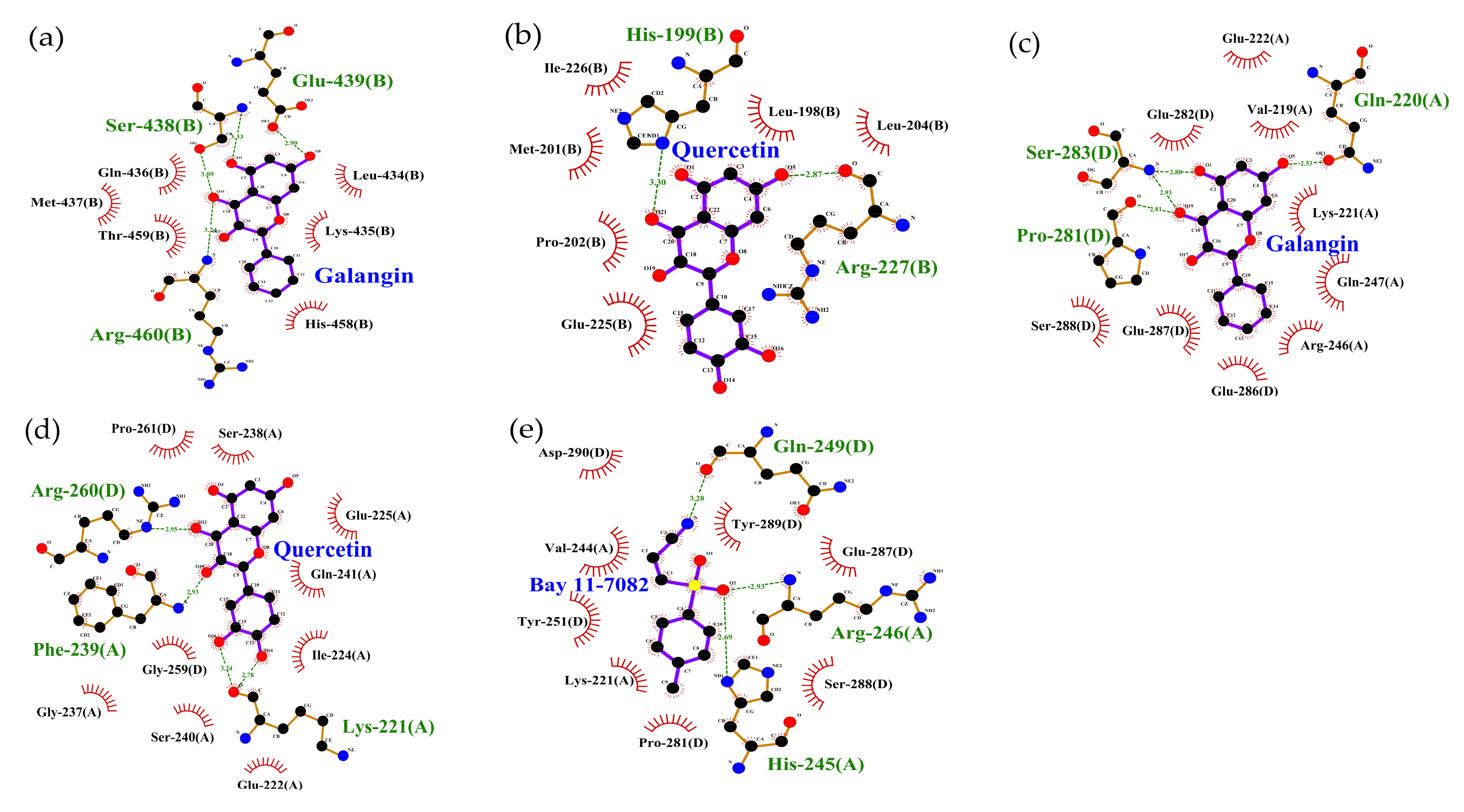Molecules 26 07495 g005