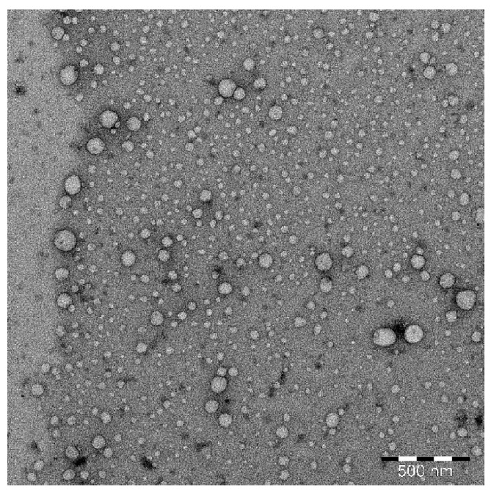 Molecules 26 07497 g002