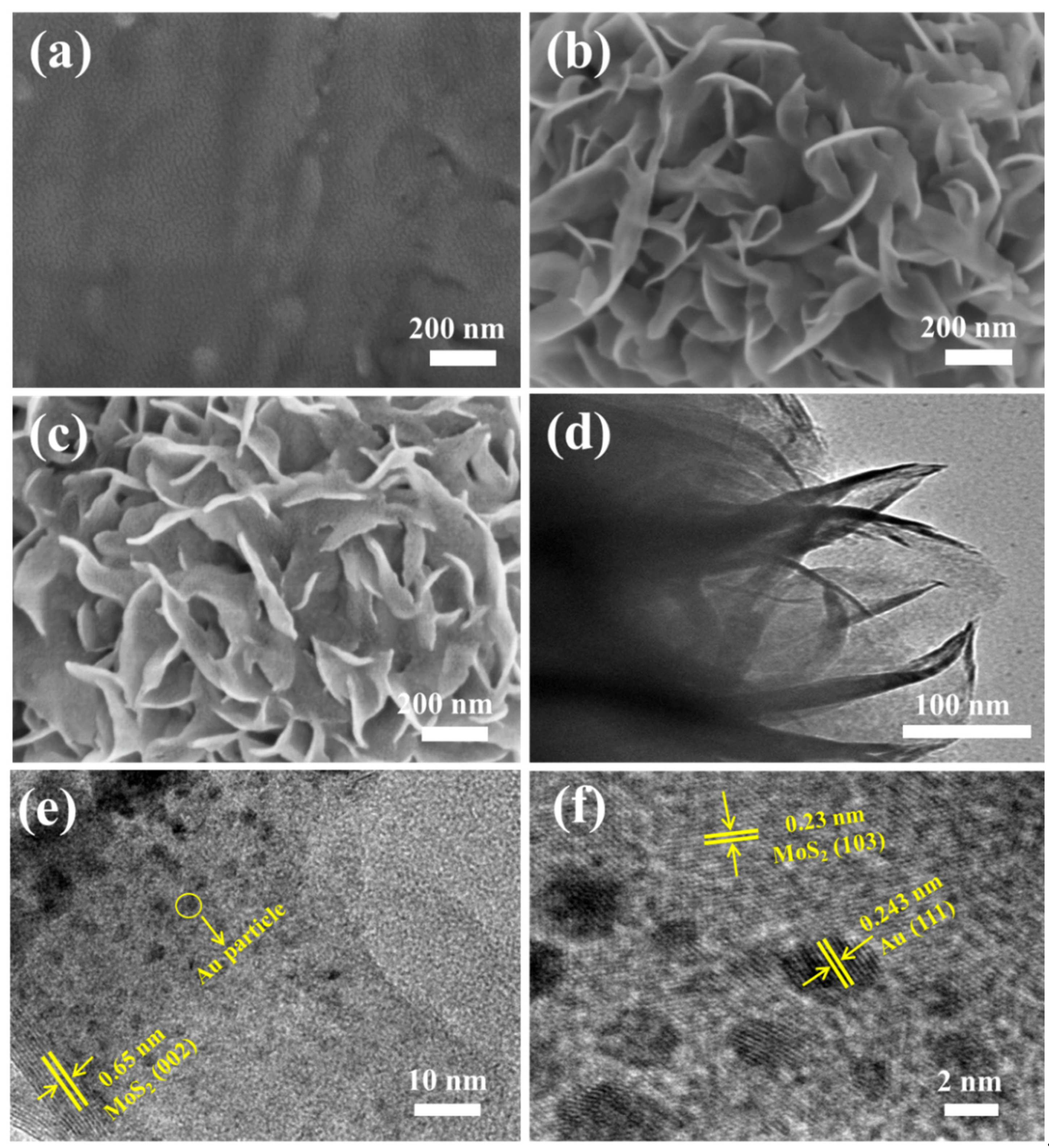 Molecules 26 07503 g001