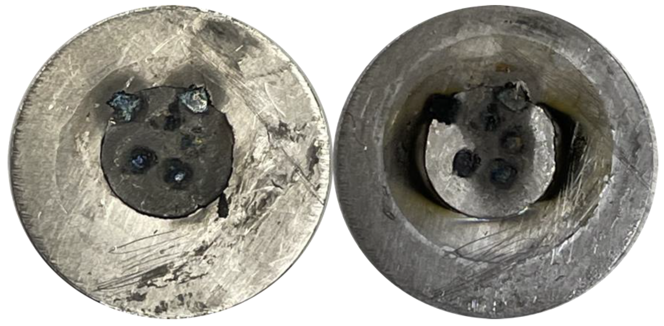 Molecules 26 07513 g001