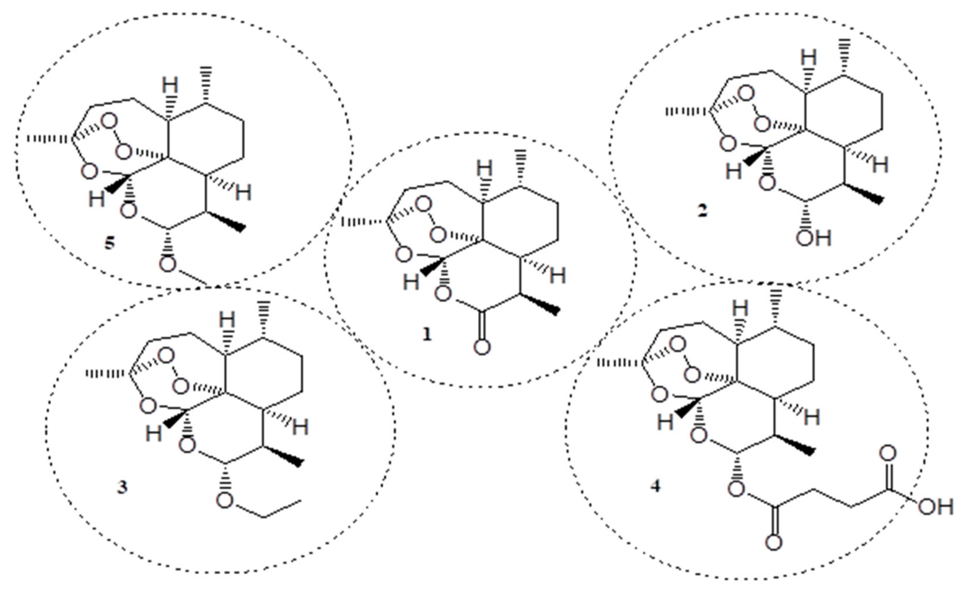 Molecules 26 07521 g001