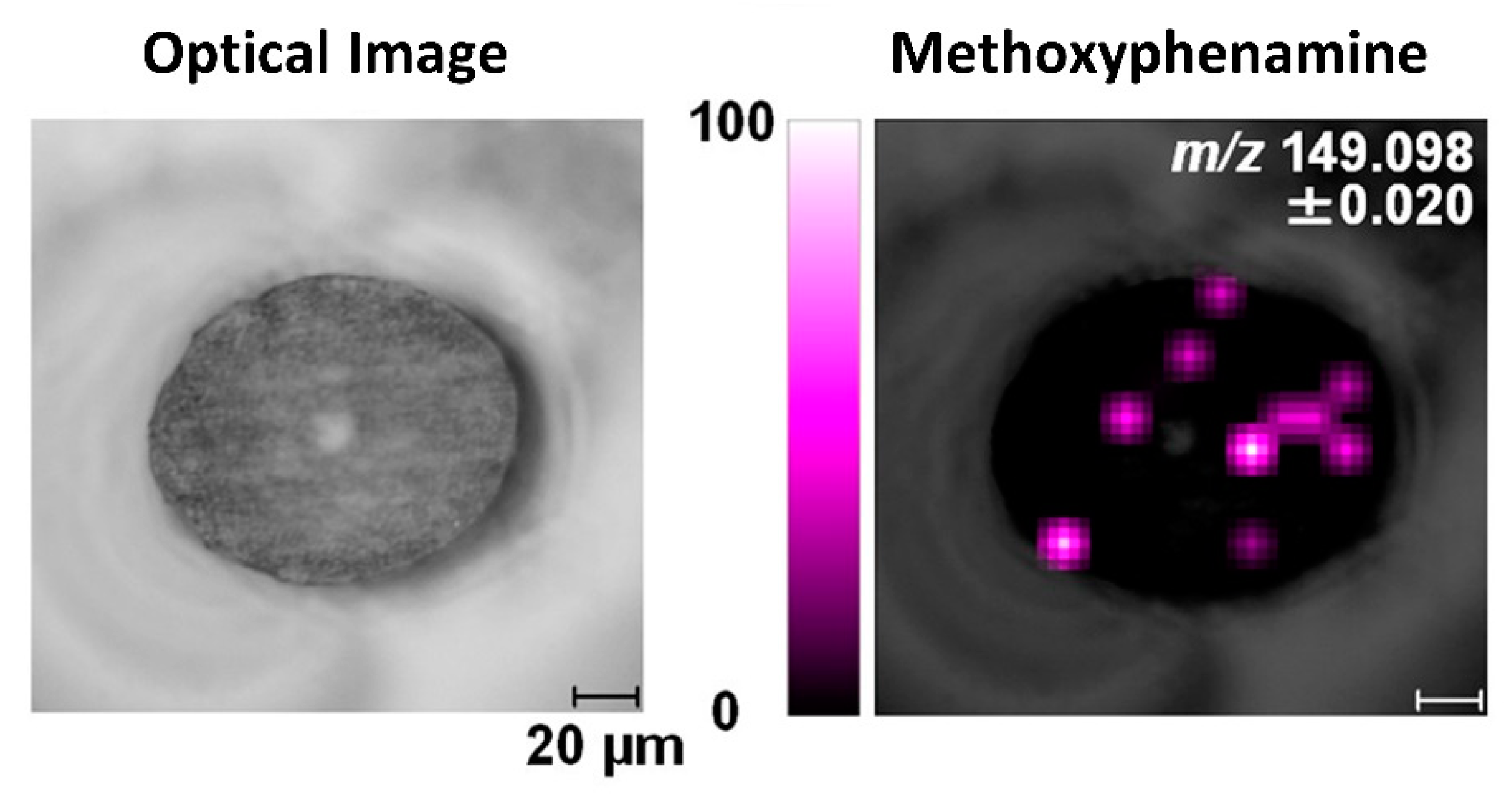 Molecules 26 07522 g005