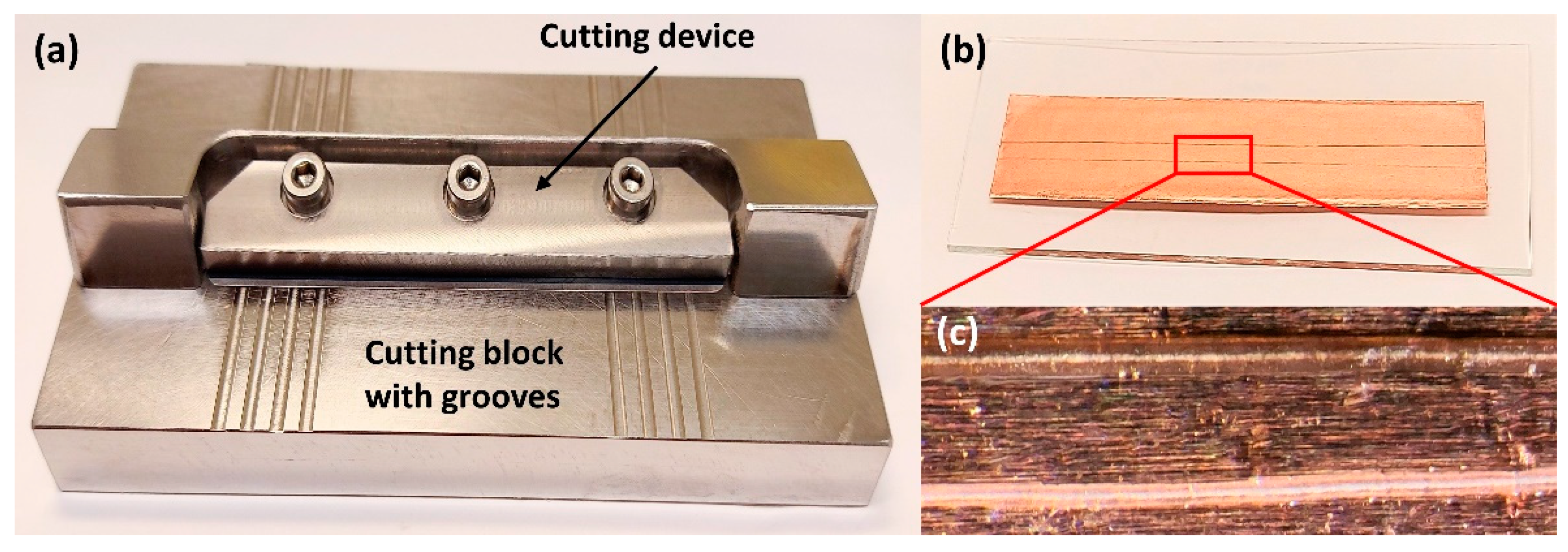 Molecules 26 07522 g006