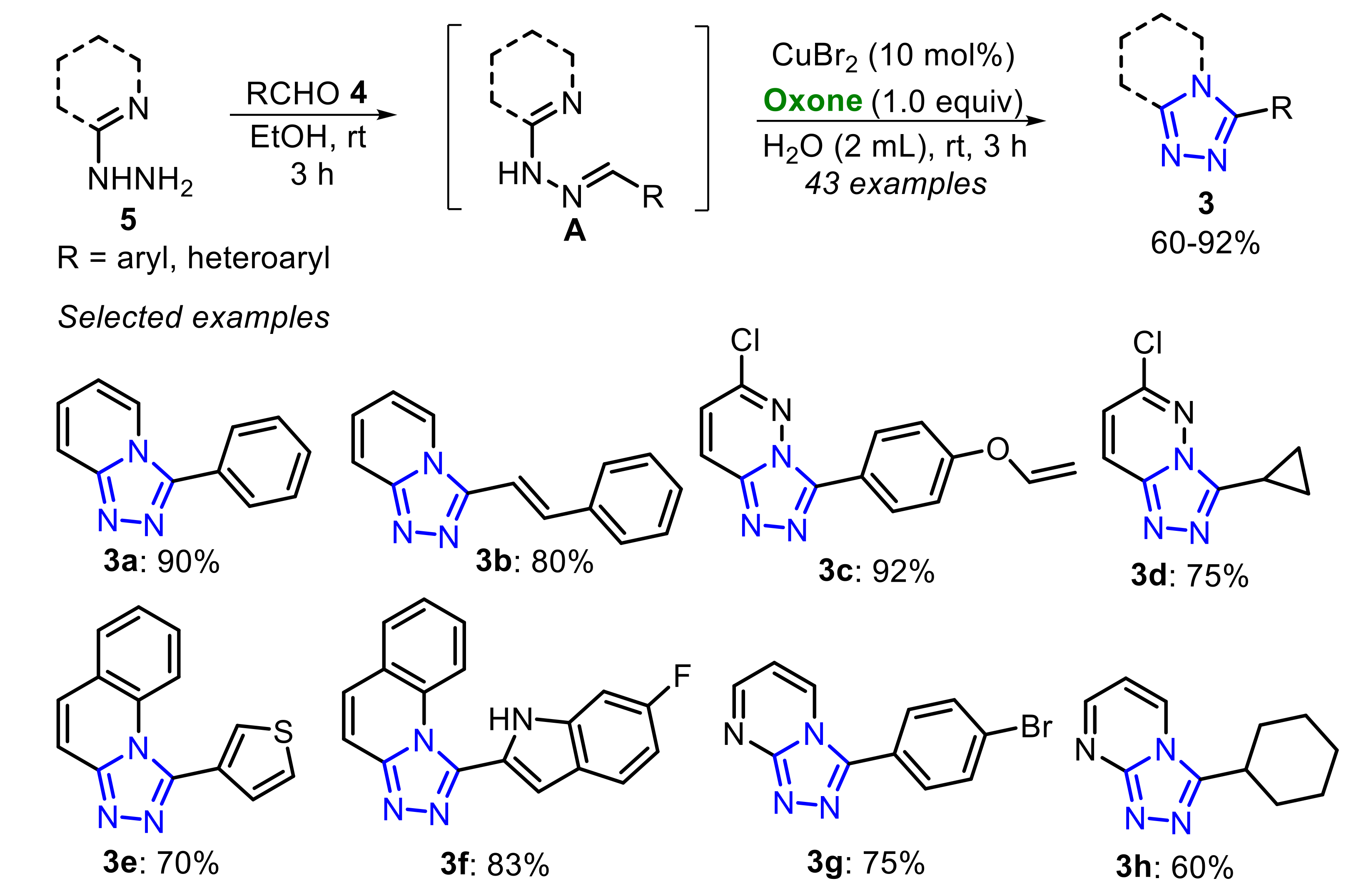 Molecules 26 07523 sch004