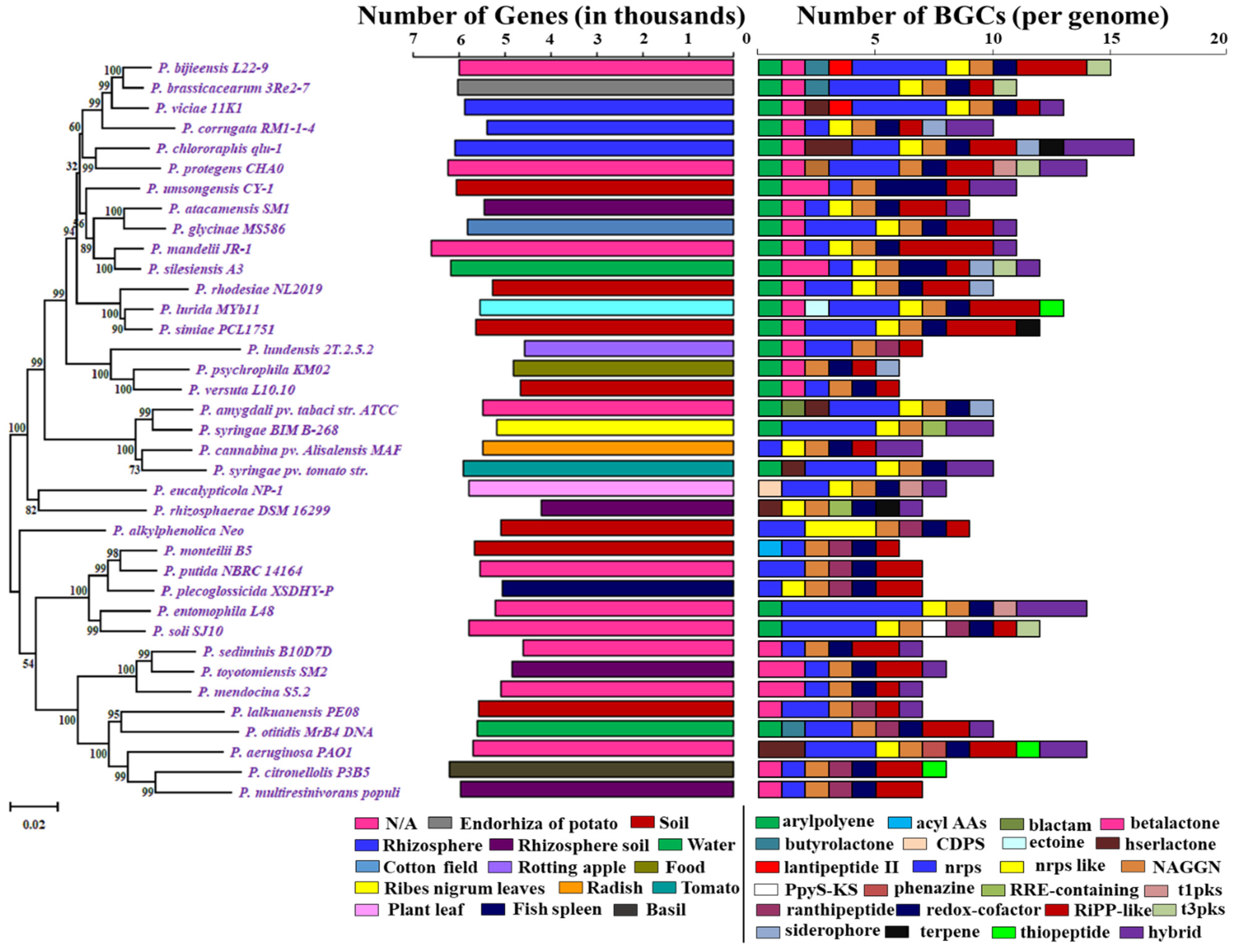 Molecules 26 07524 g001