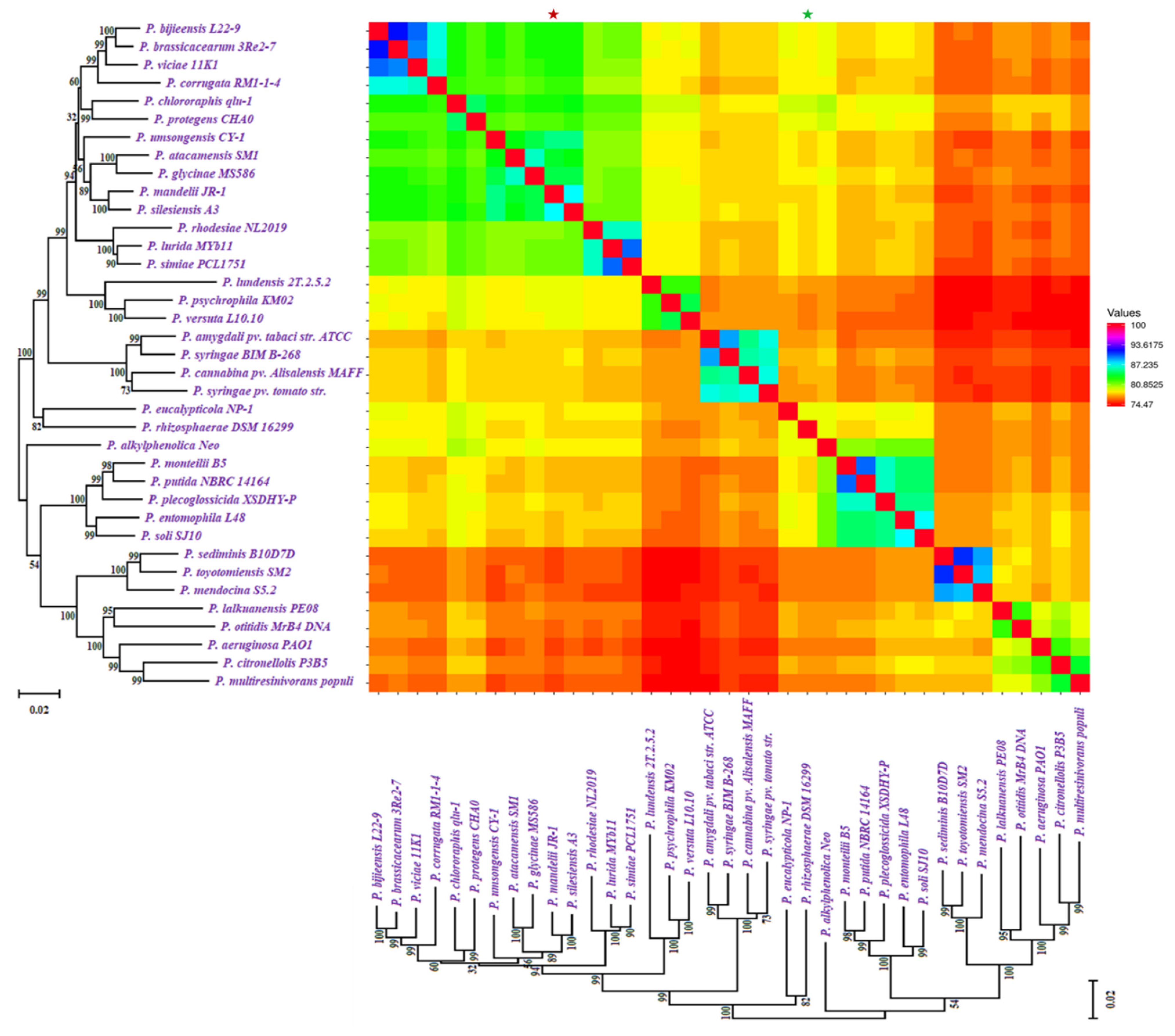 Molecules 26 07524 g003