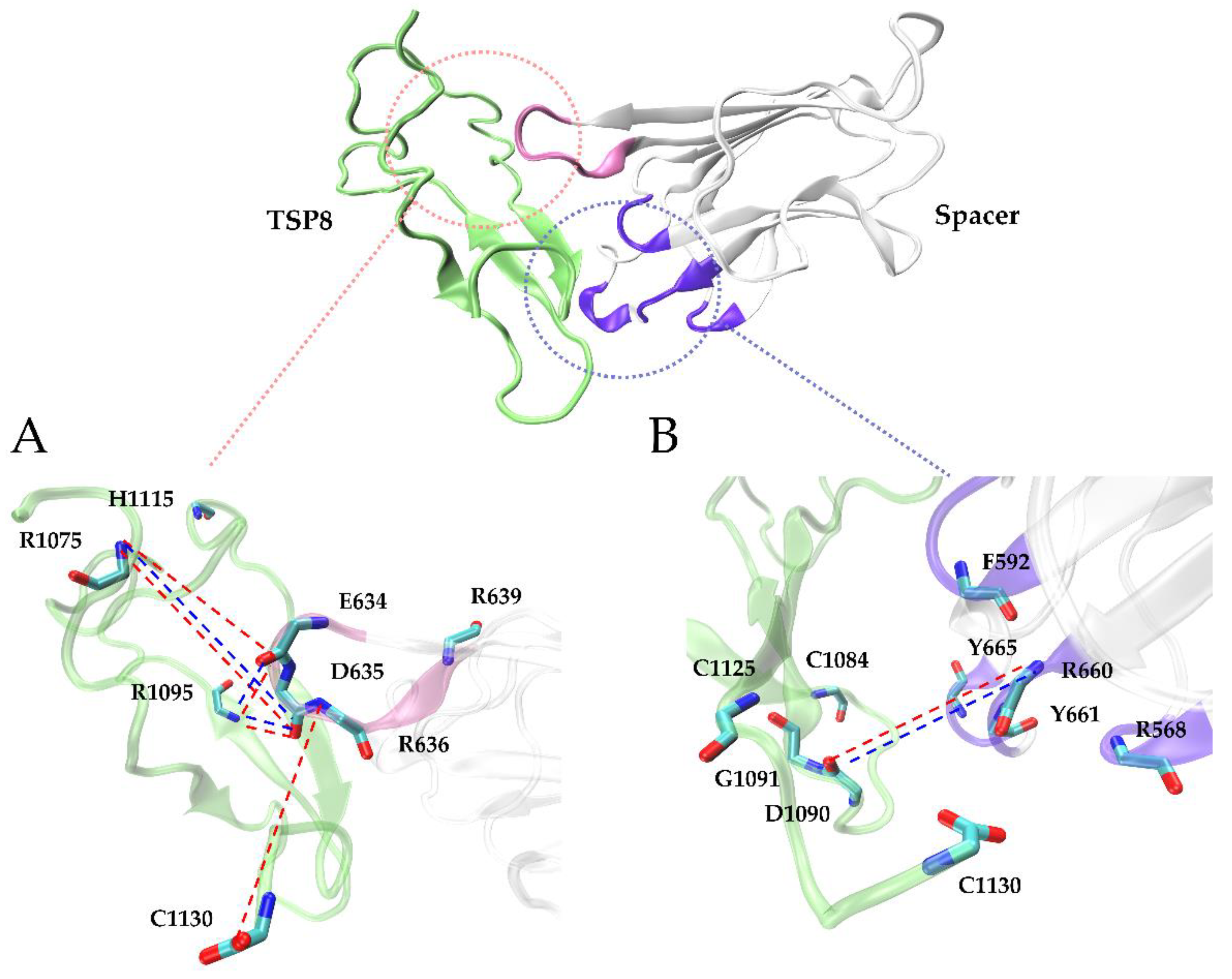Molecules 26 07525 g004
