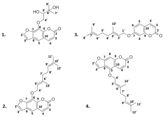 Molecules 26 07527 g002 550