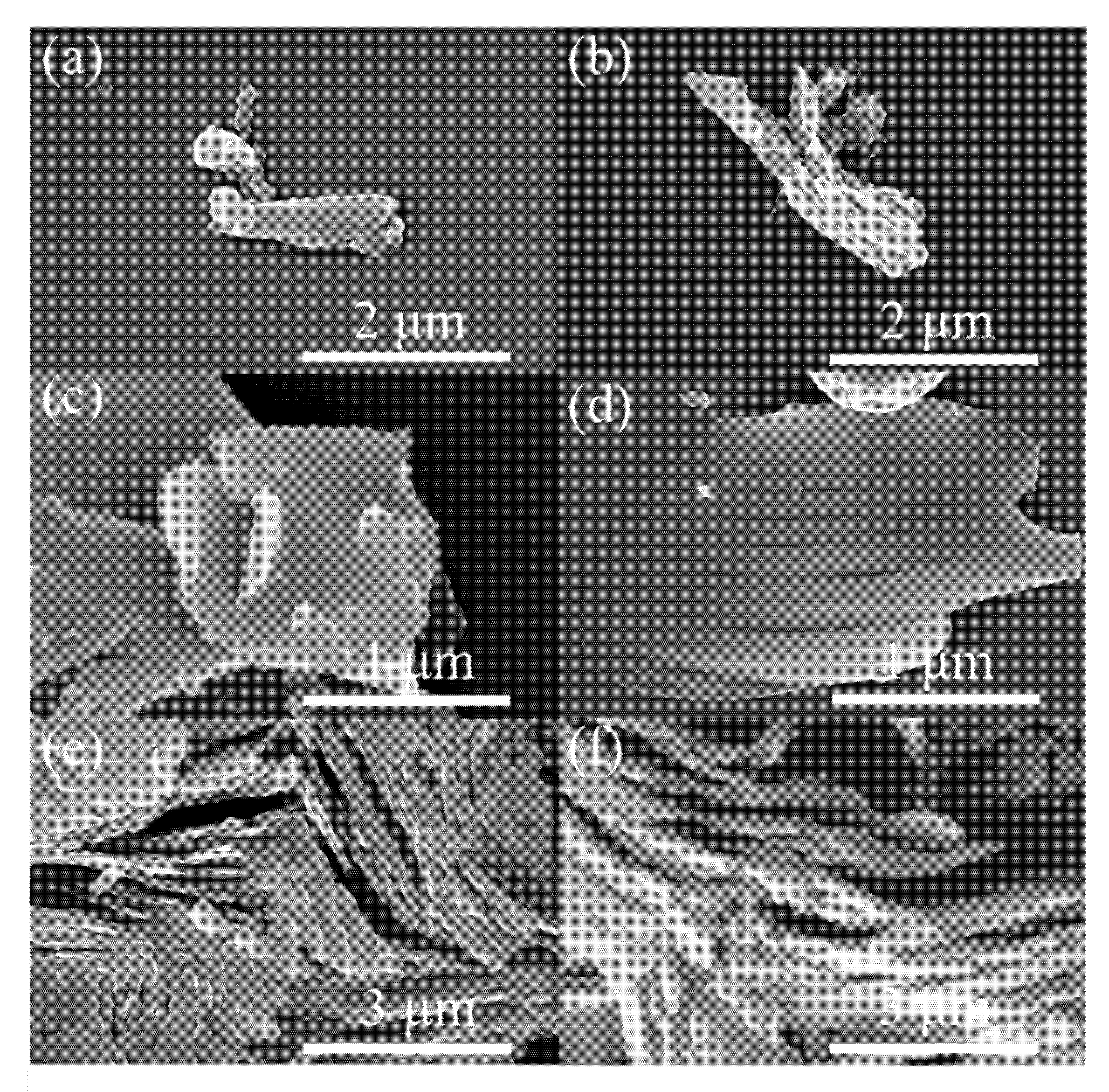 Molecules 26 07537 g001