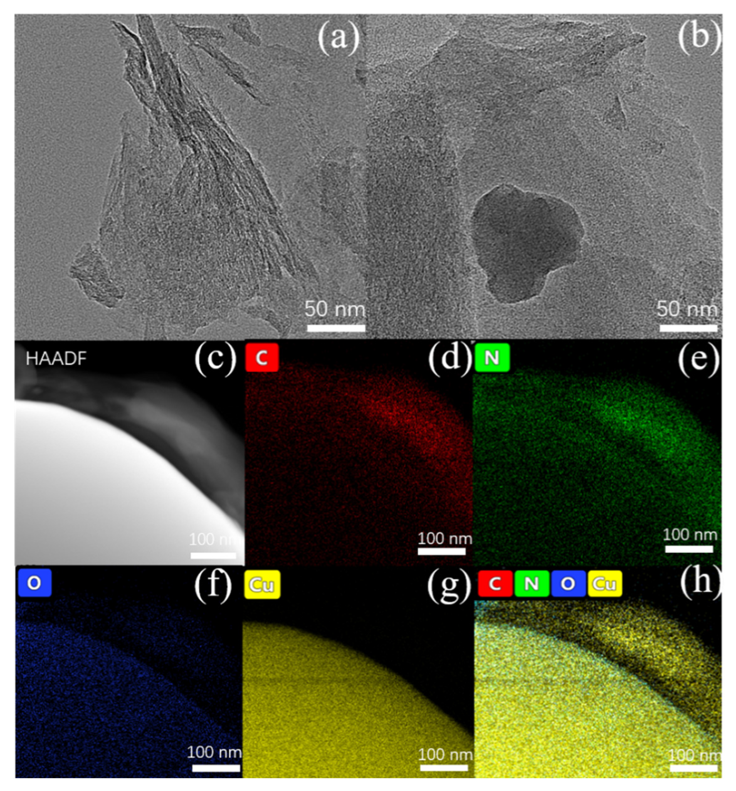 Molecules 26 07537 g002