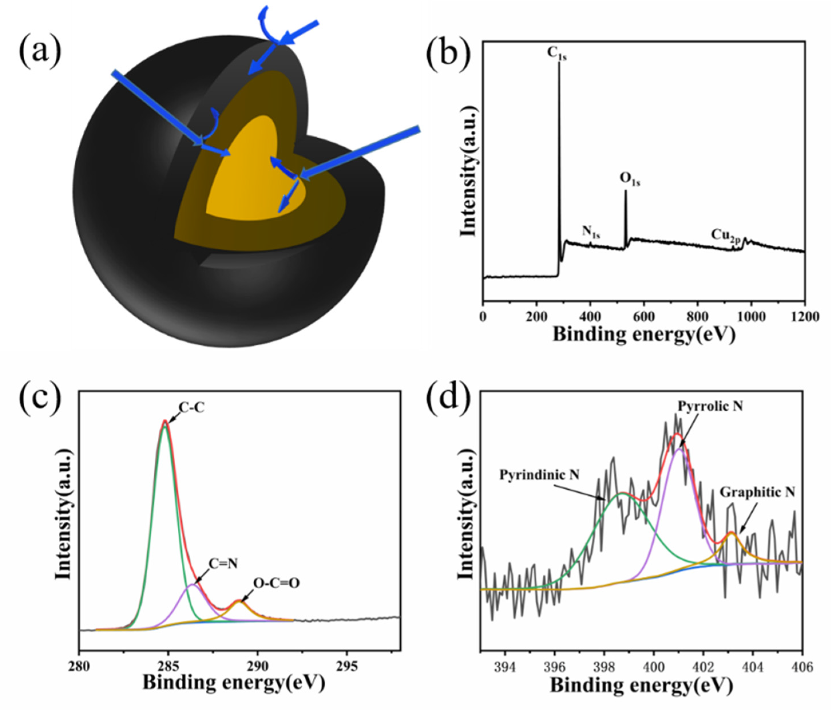 Molecules 26 07537 g003