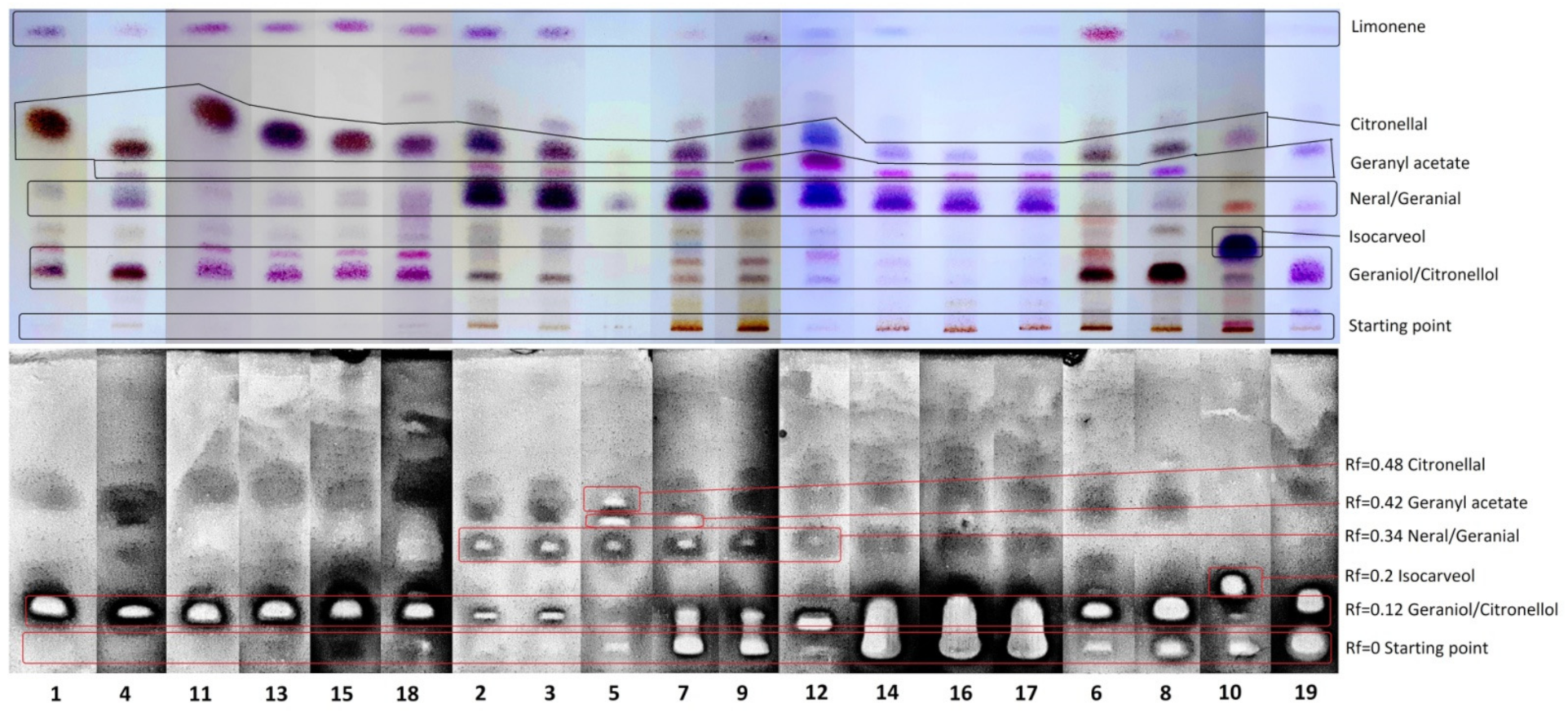 Molecules 26 07542 g002