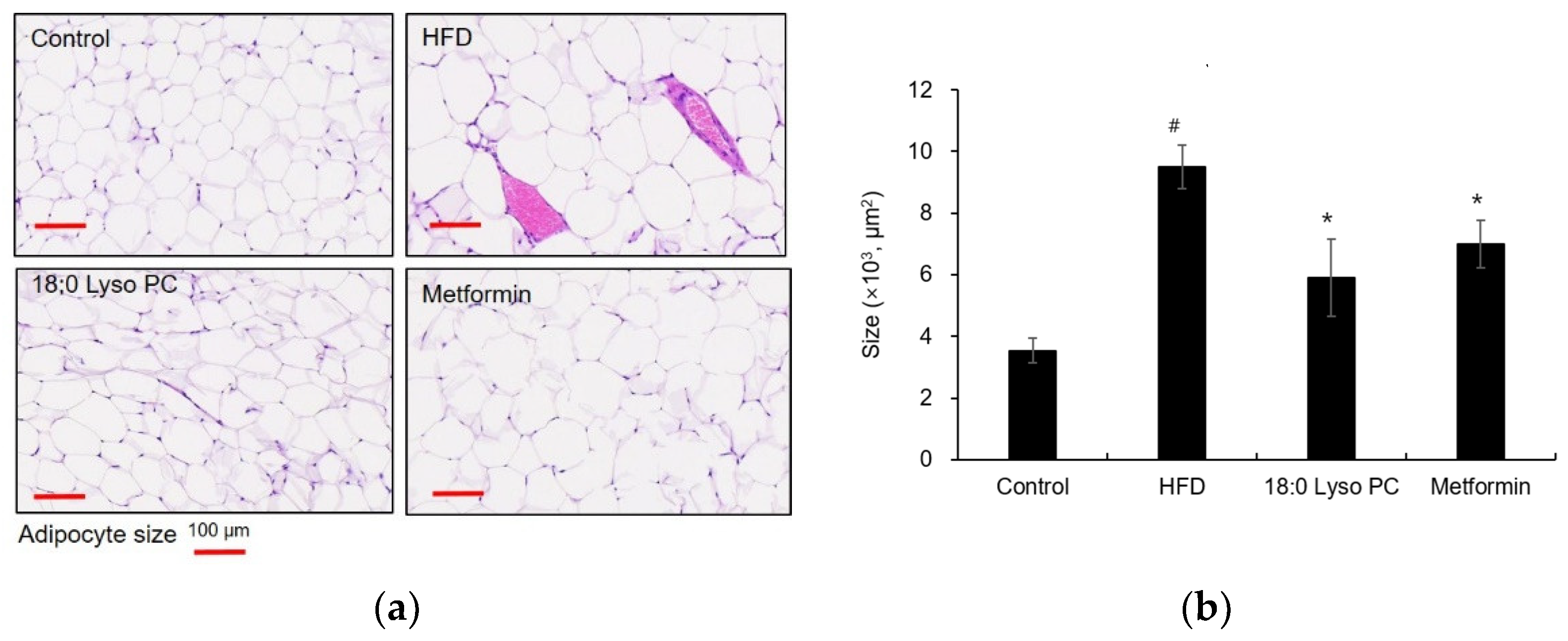 Molecules 26 07547 g003