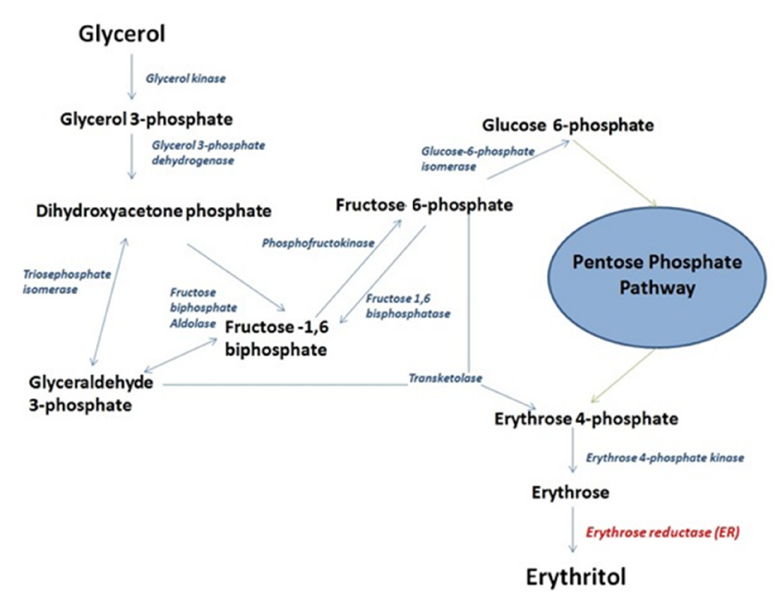 Molecules 26 07549 g001