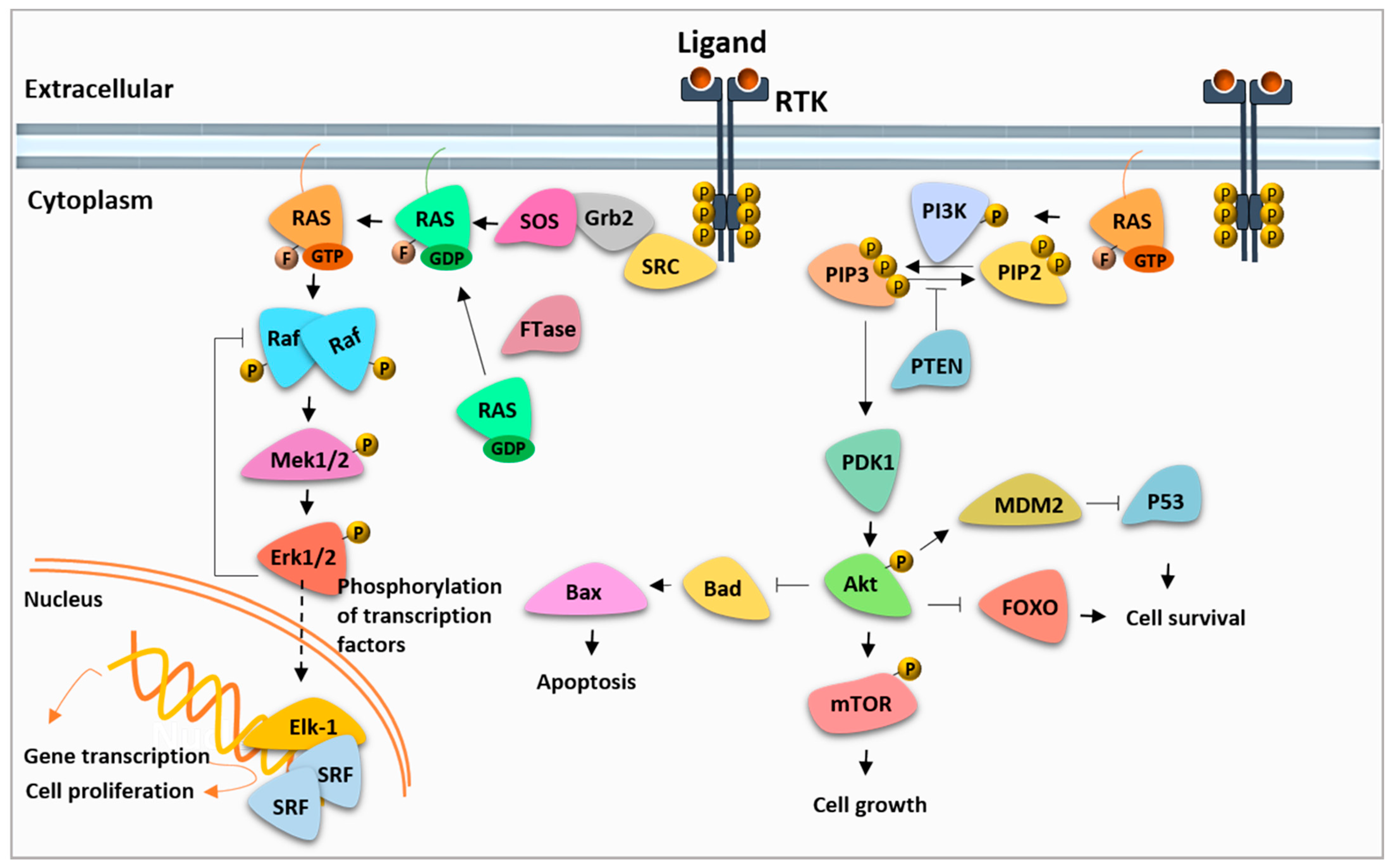 Molecules 26 07561 g001 Molecules 26 07561 g001