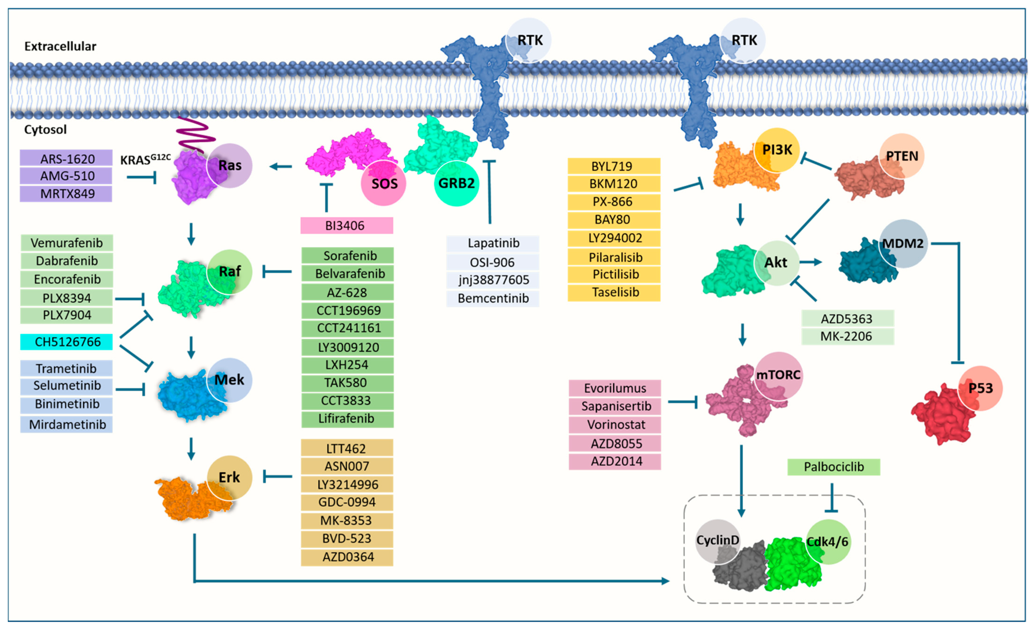 Molecules 26 07561 g002 Molecules 26 07561 g002