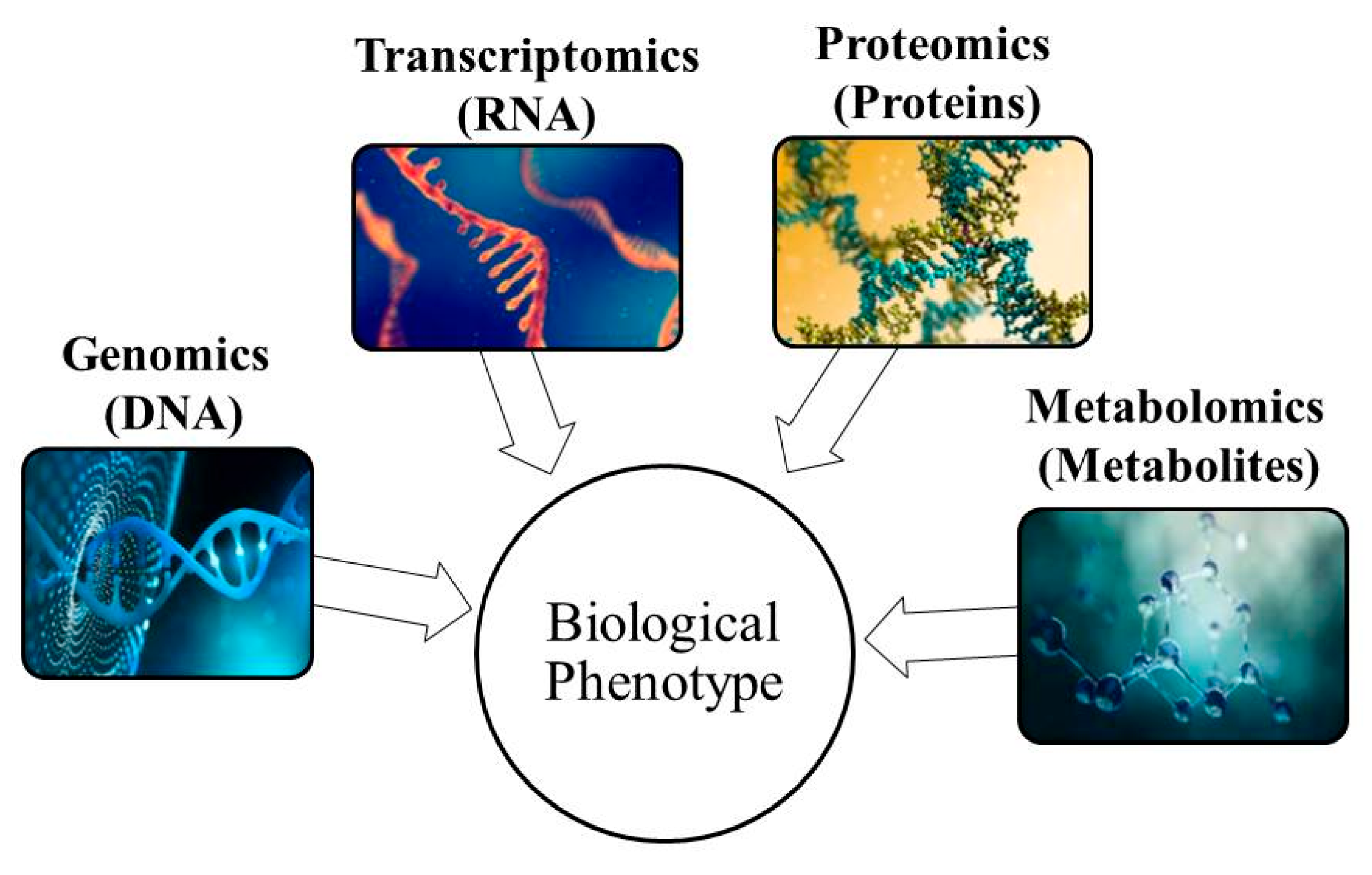 Molecules 26 07565 g001