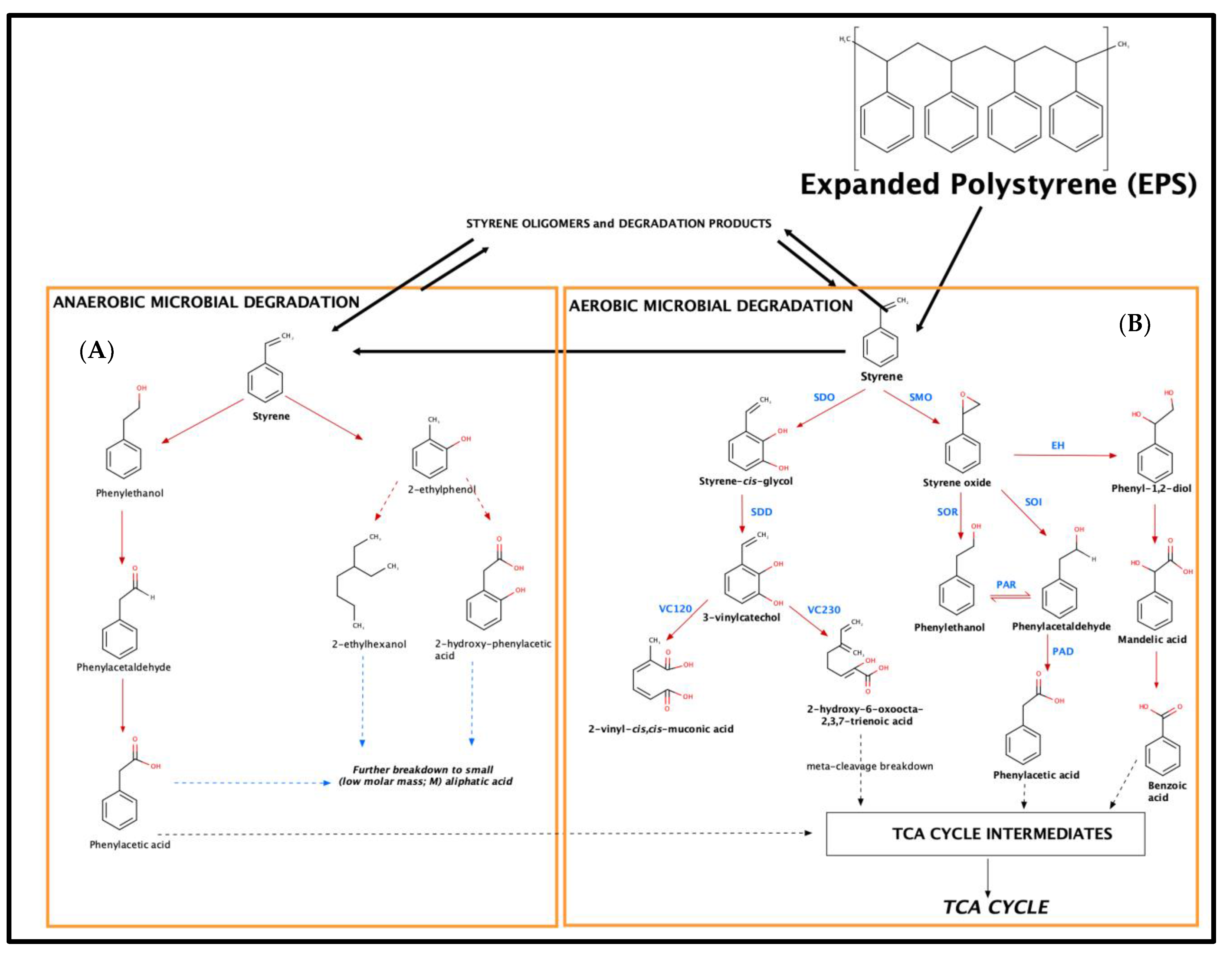 Molecules 26 07568 g003