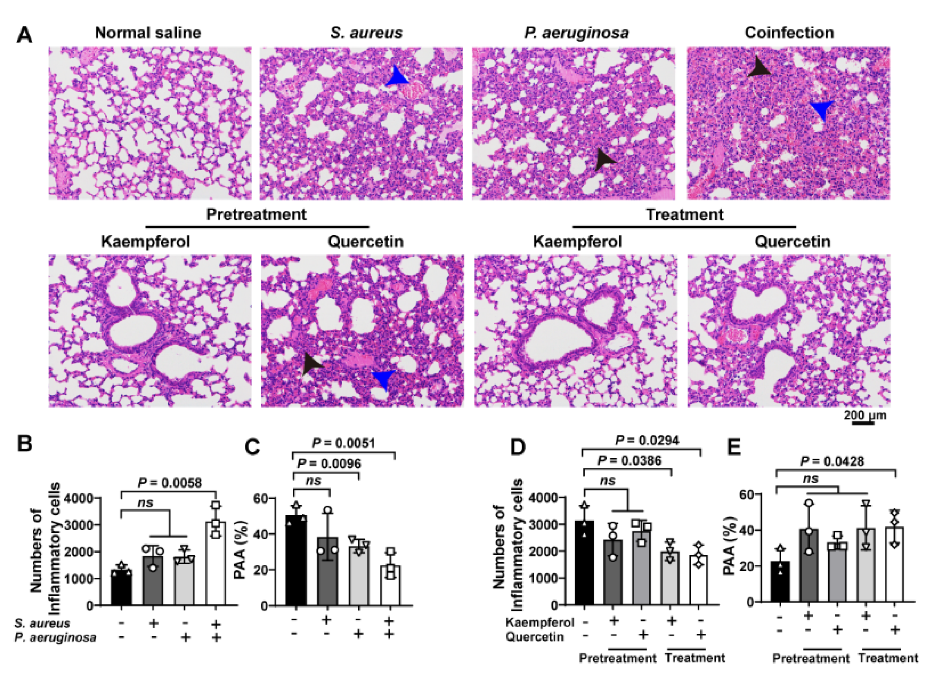 Molecules 26 07577 g005