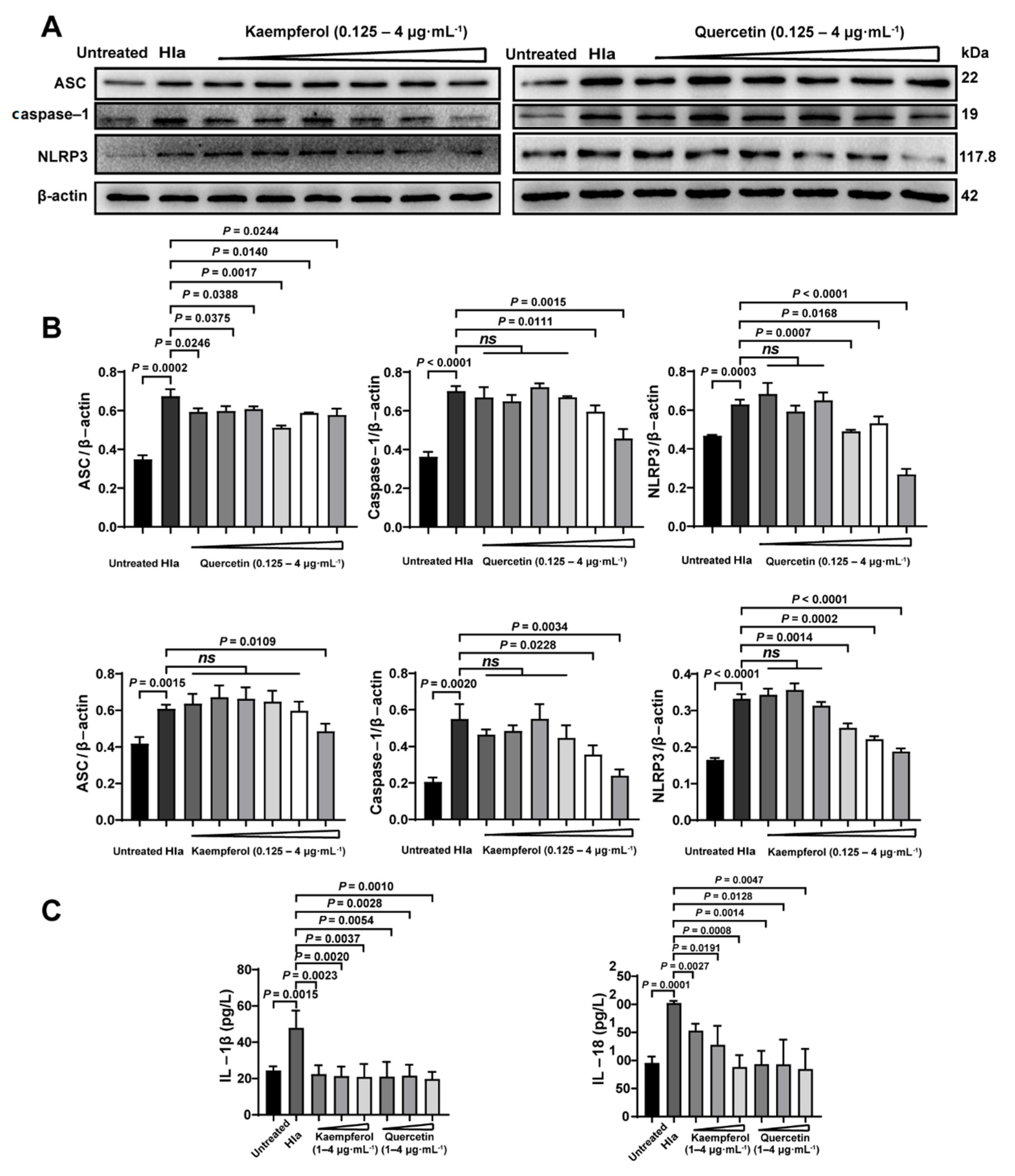 Molecules 26 07577 g006