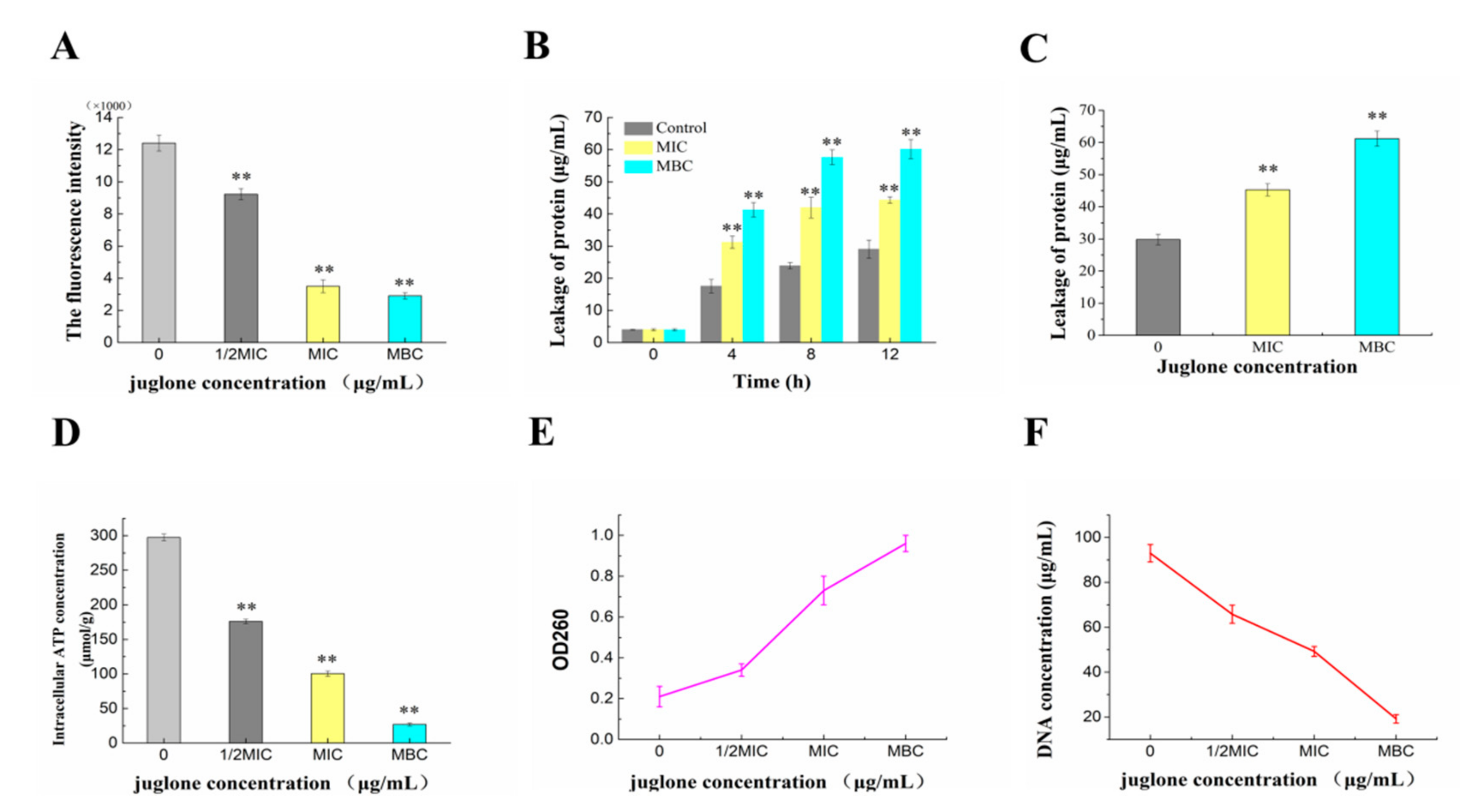 Molecules 26 07580 g004