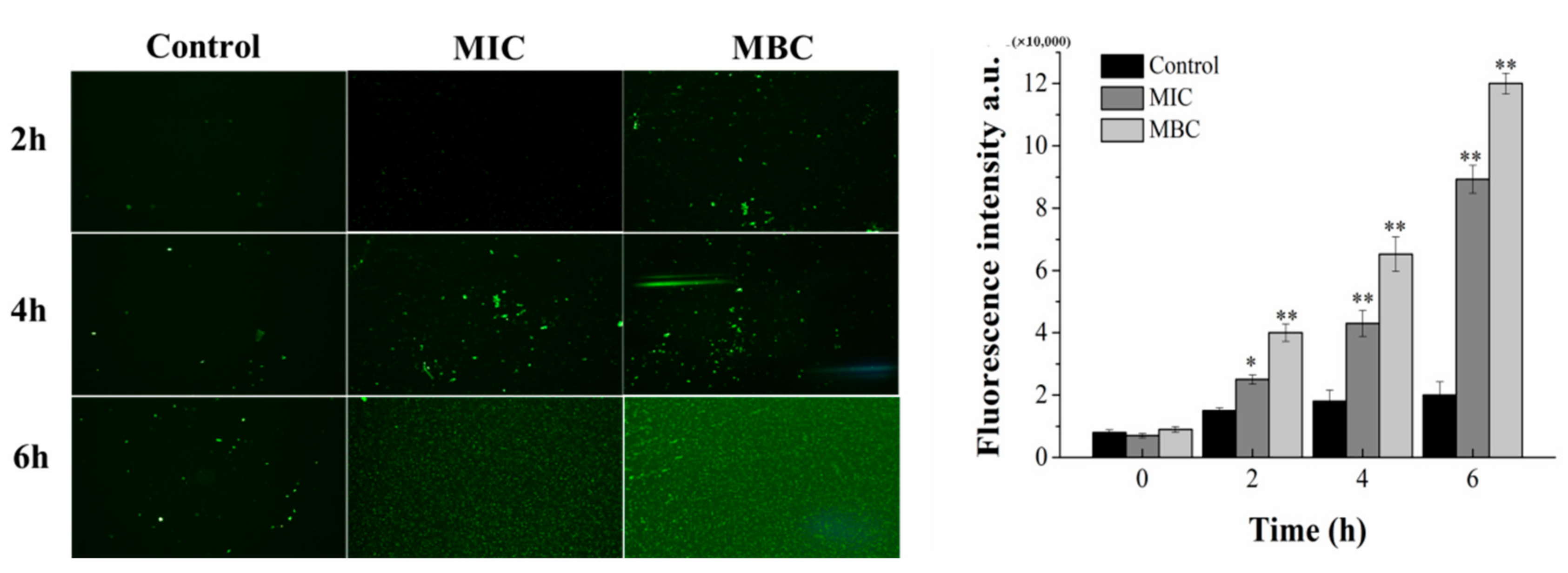 Molecules 26 07580 g005