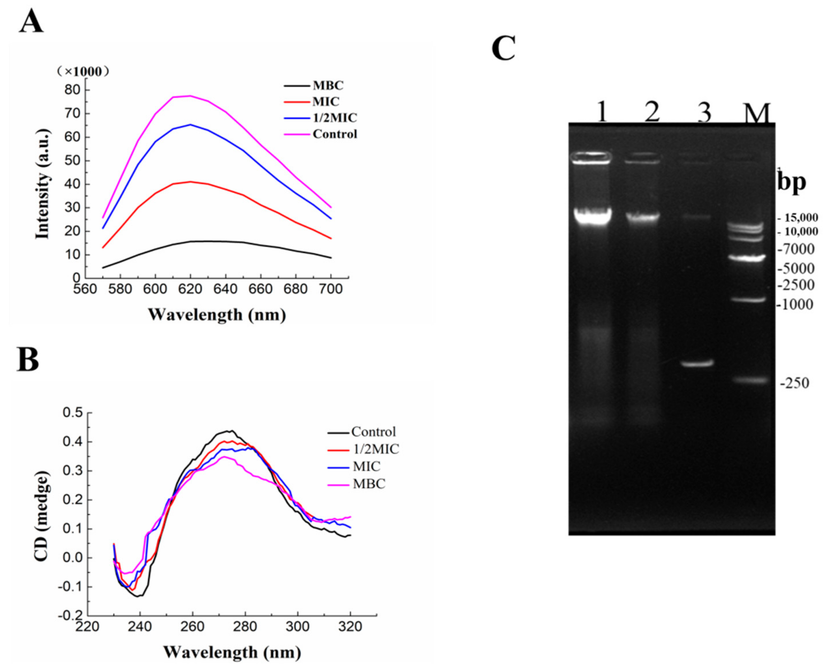 Molecules 26 07580 g006