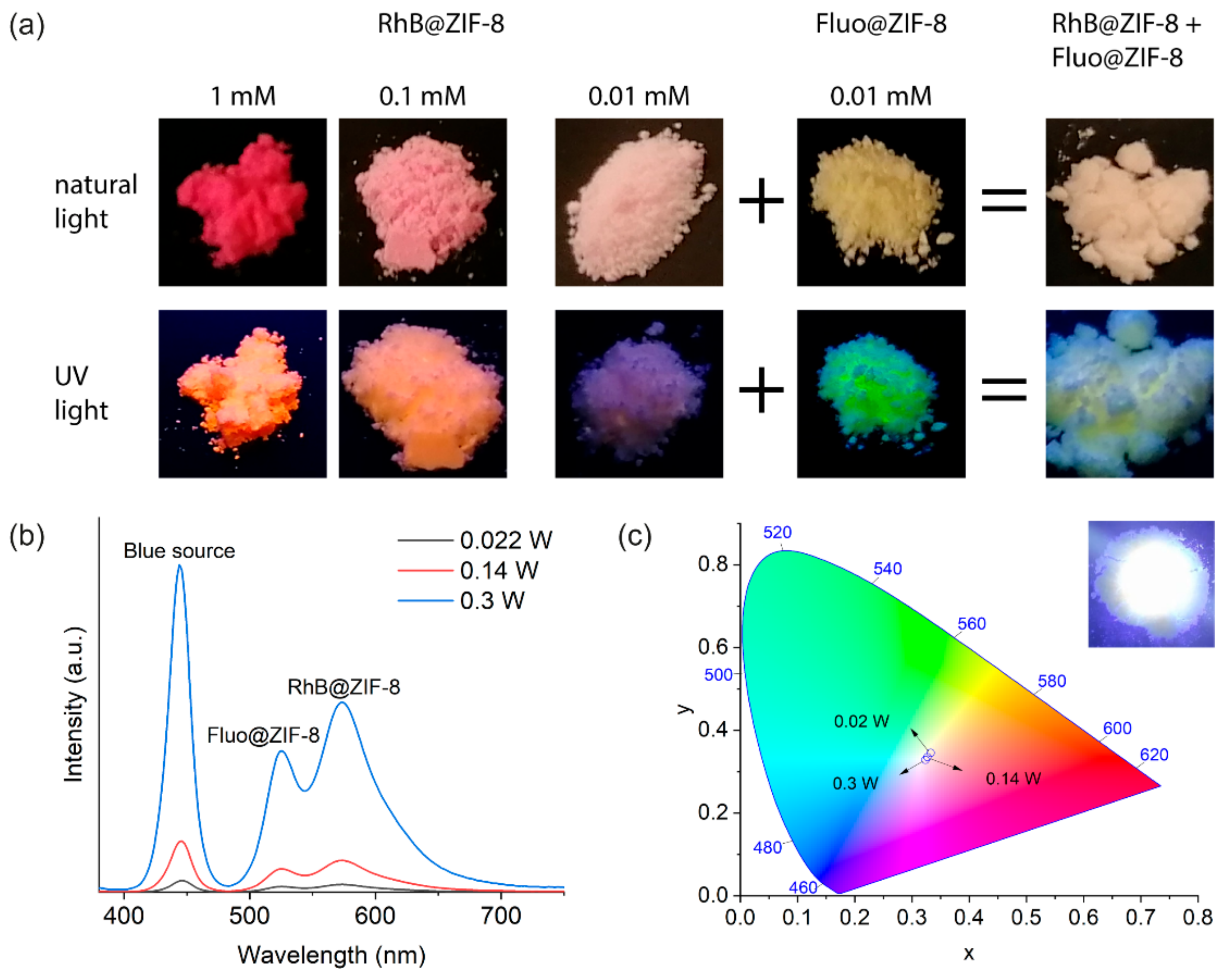 Molecules 26 07583 g004
