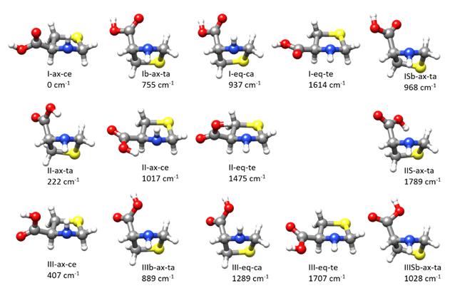 Molecules 26 07585 g001