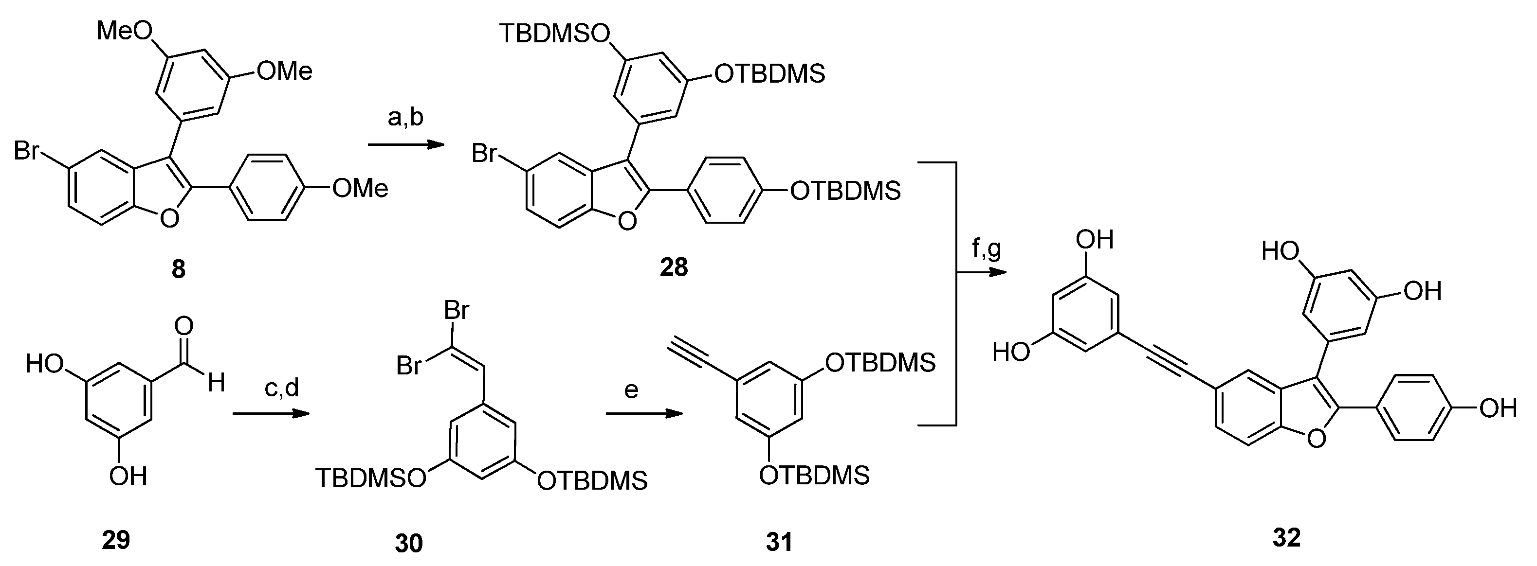 Molecules 26 07594 sch005