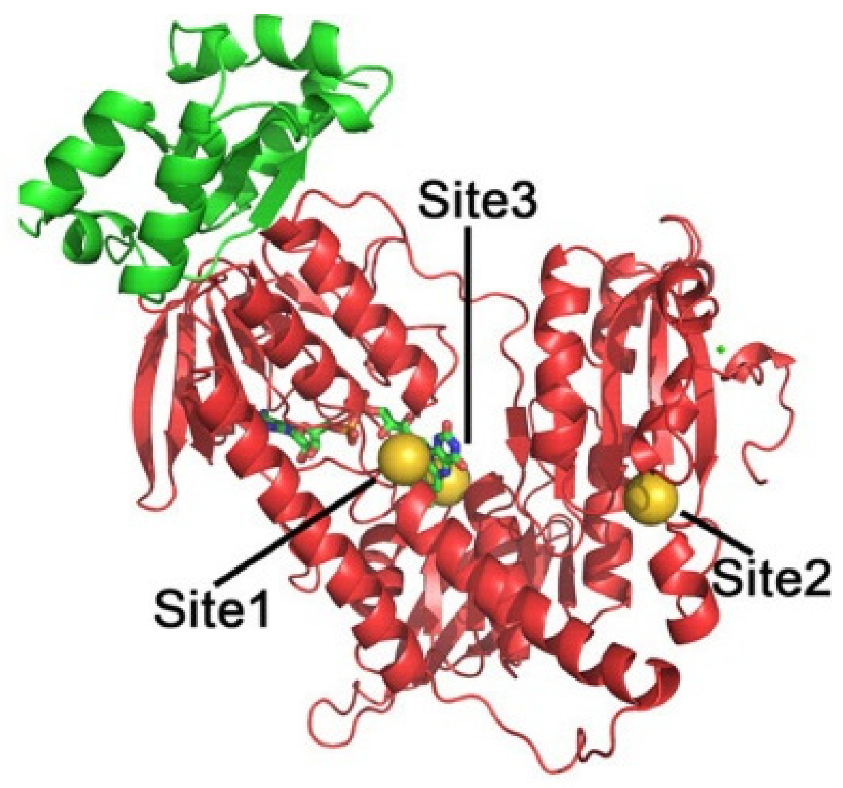 Molecules 26 07600 g004