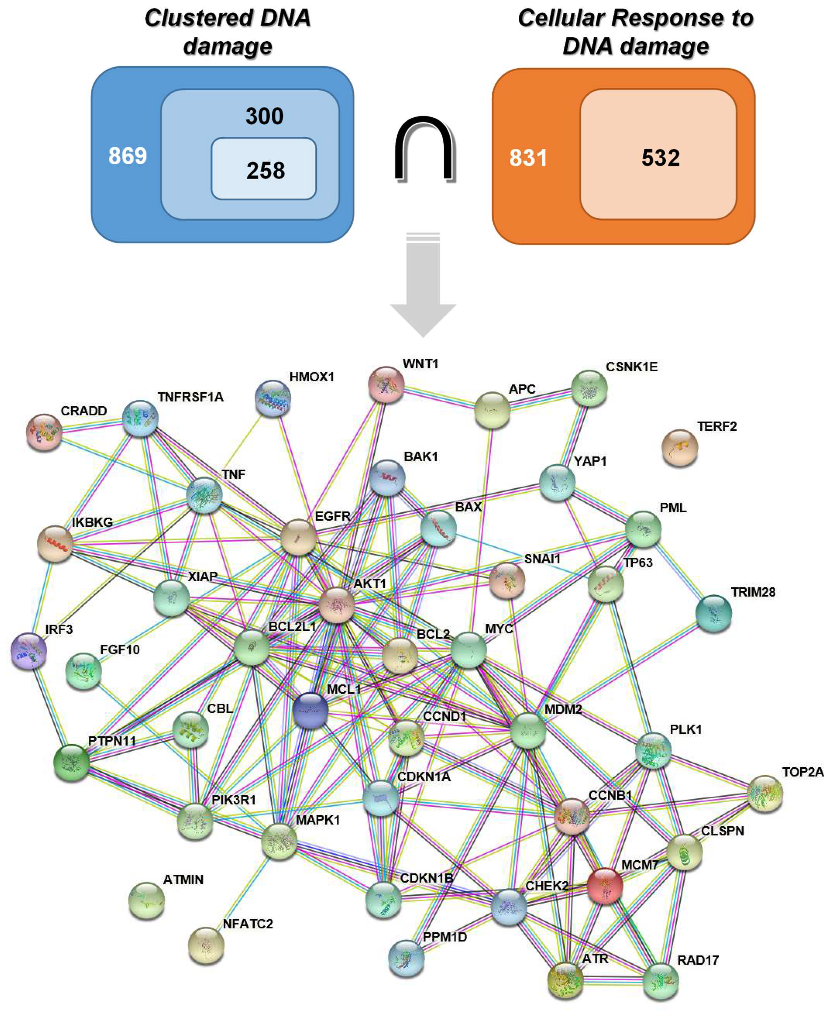 Molecules 26 07602 g001