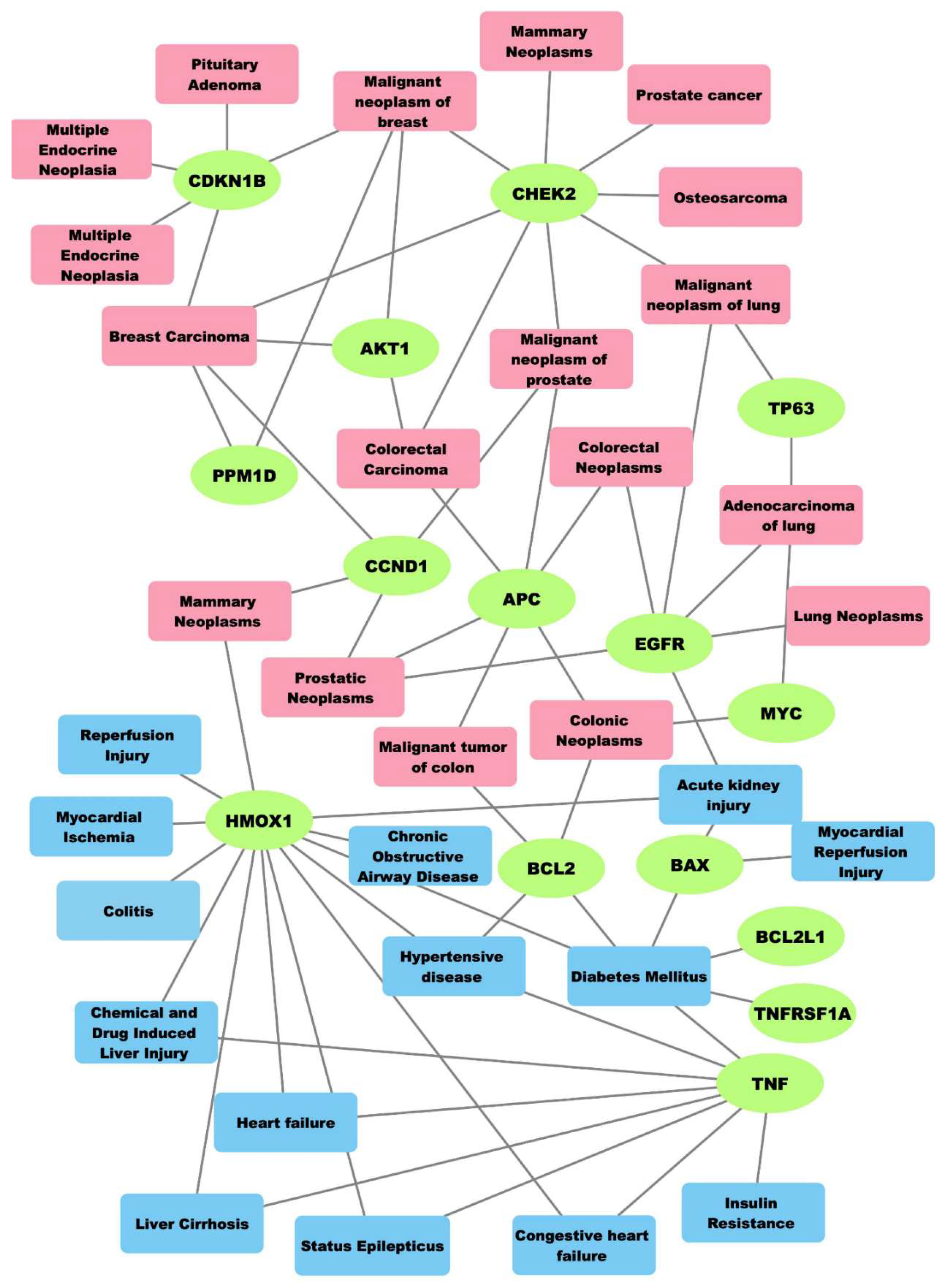 Molecules 26 07602 g002