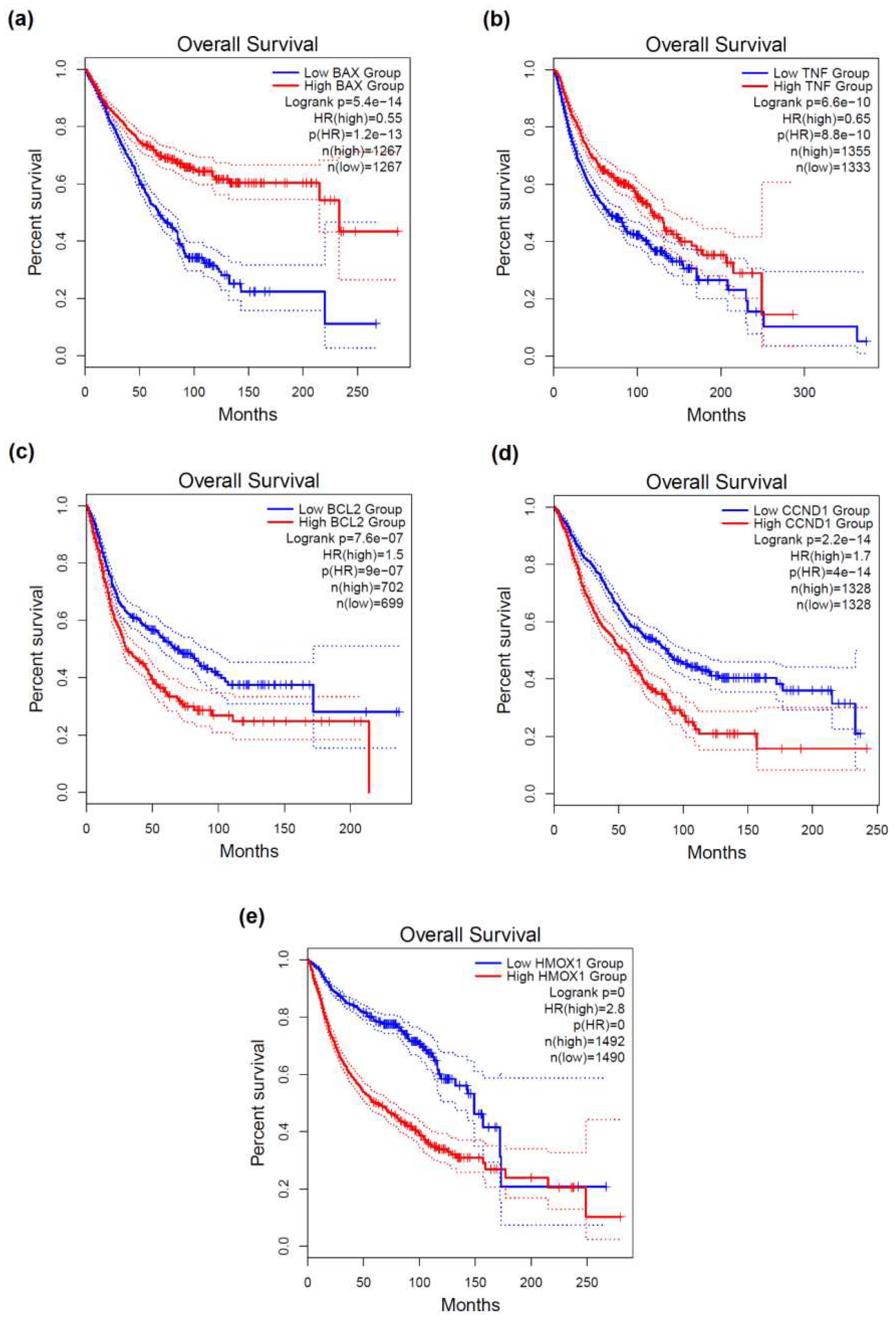 Molecules 26 07602 g003