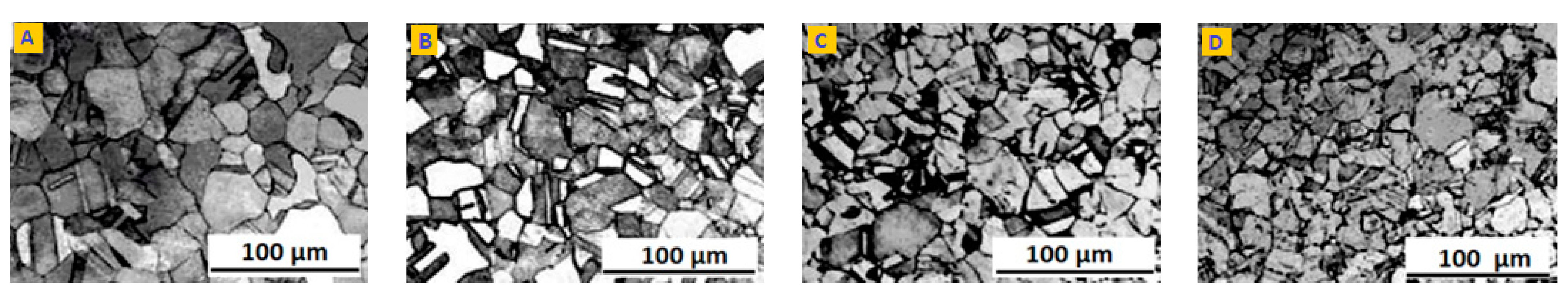 Molecules 26 07608 g002