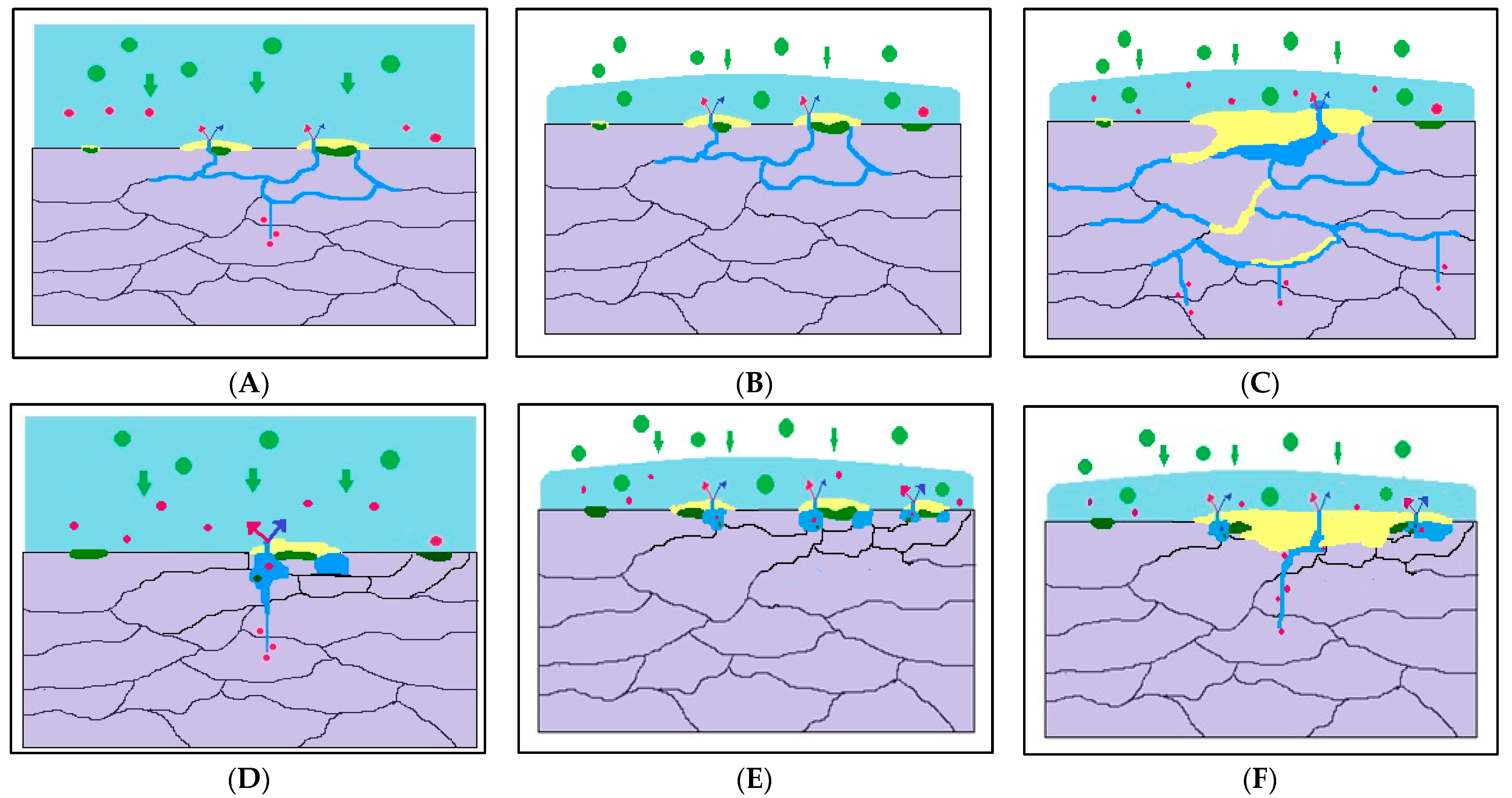 Molecules 26 07608 g003