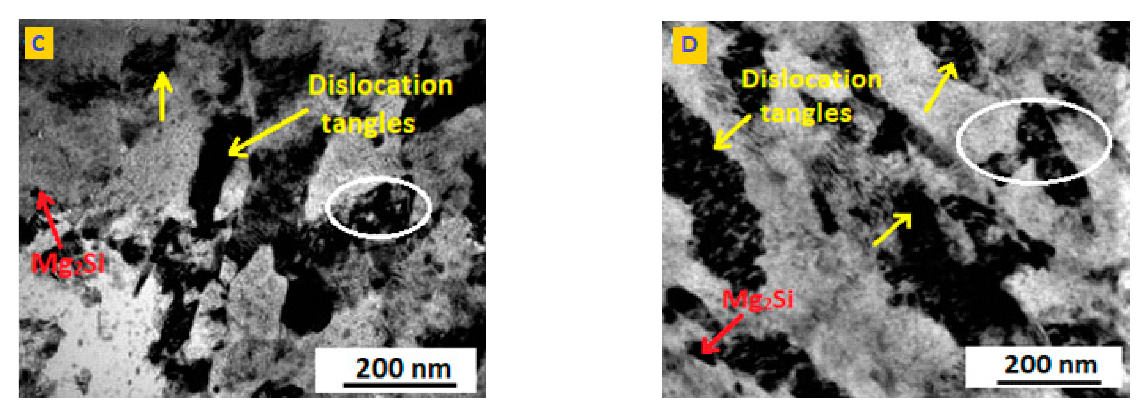 Molecules 26 07608 g006b