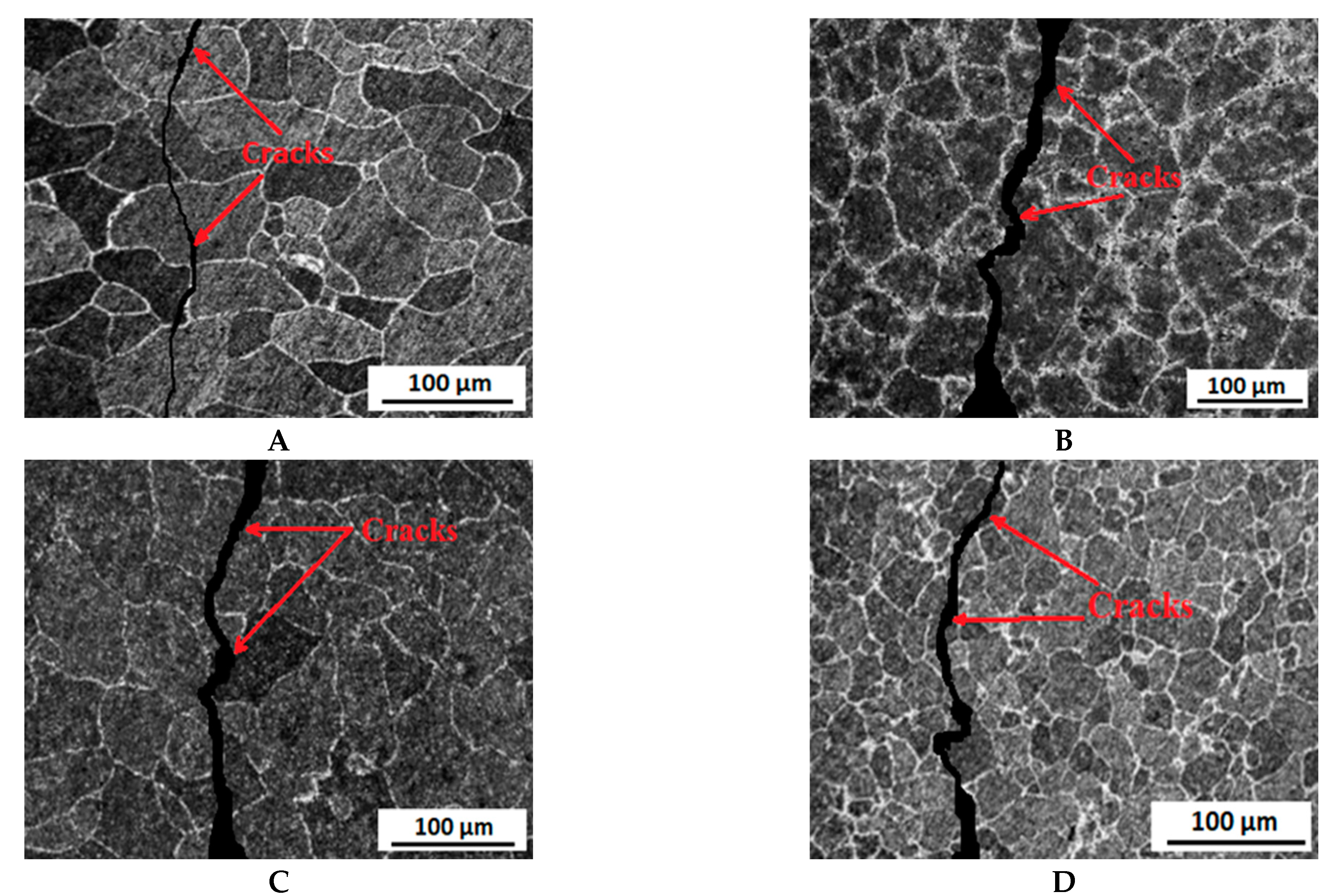 Molecules 26 07608 g007