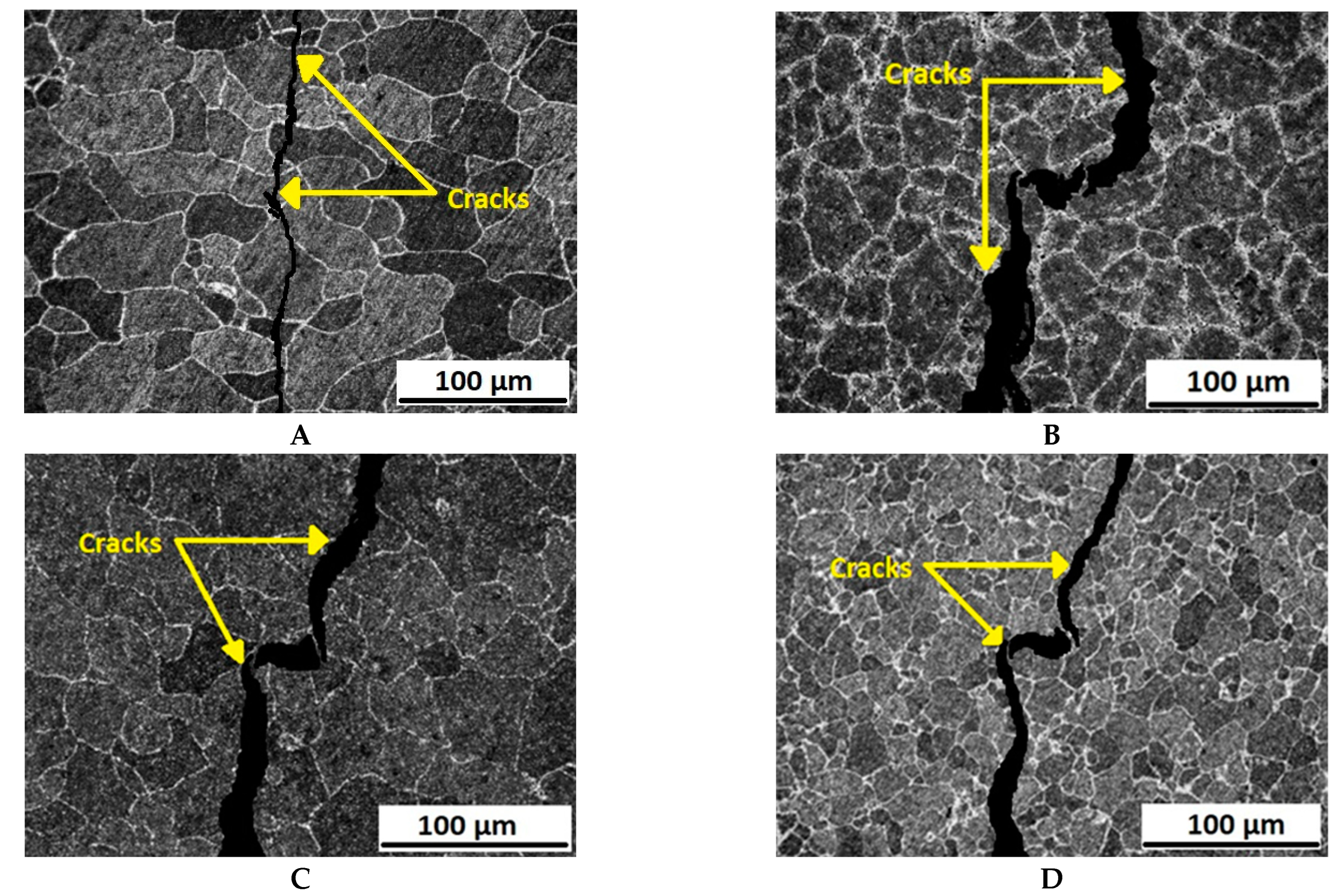 Molecules 26 07608 g008