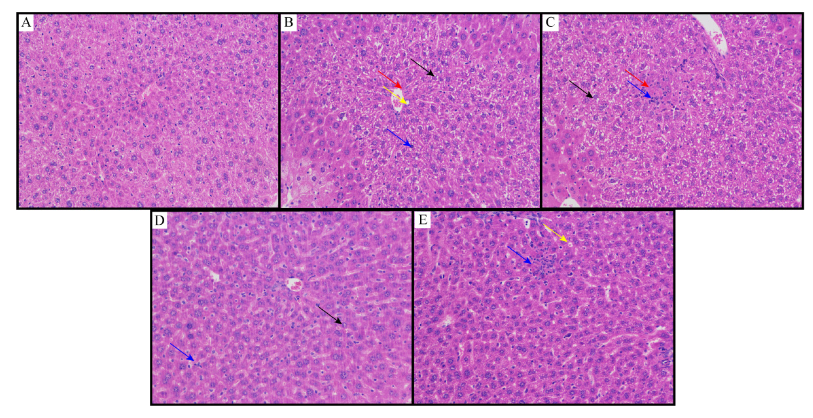 Molecules 26 07615 g005