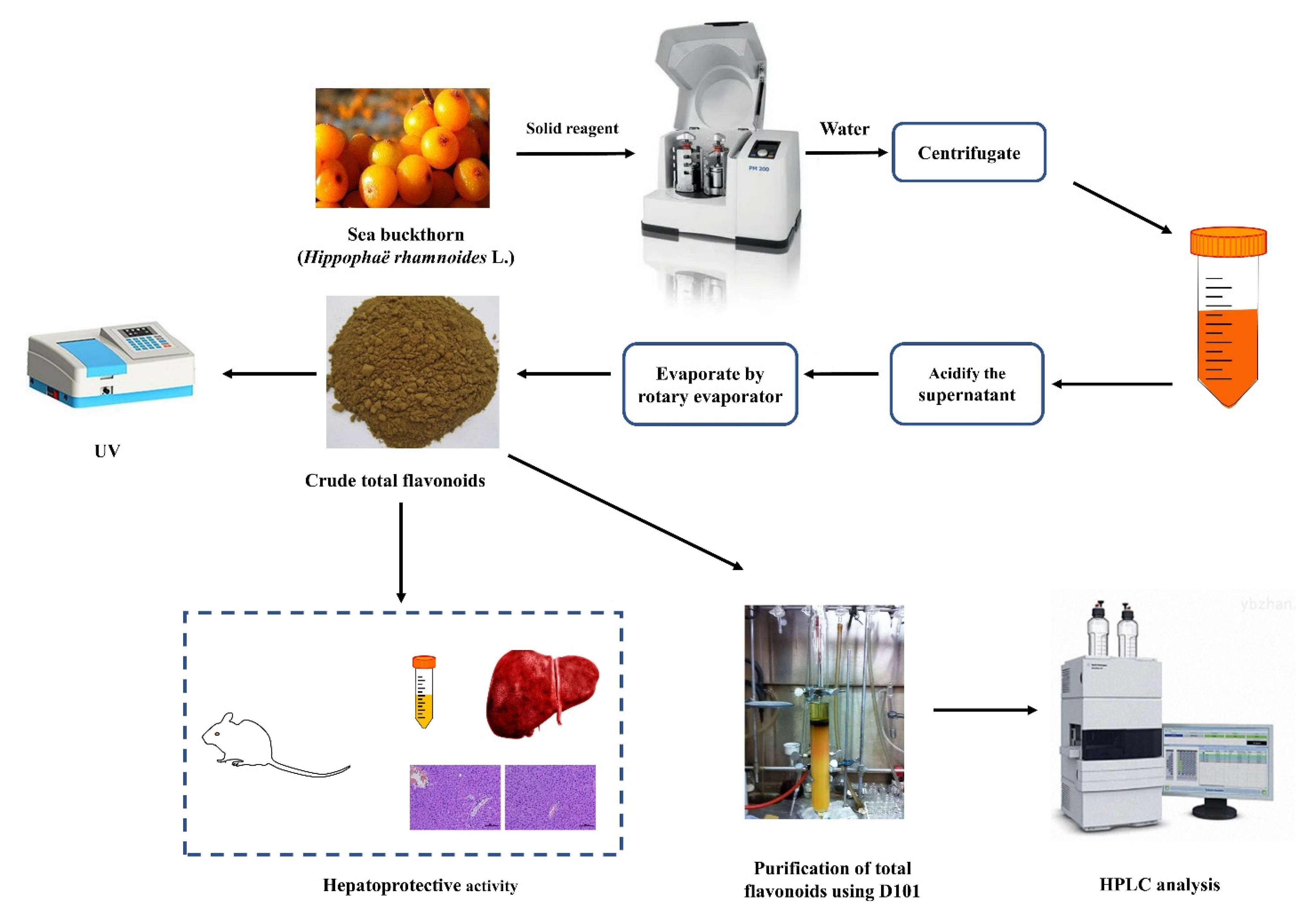 Molecules 26 07615 g006