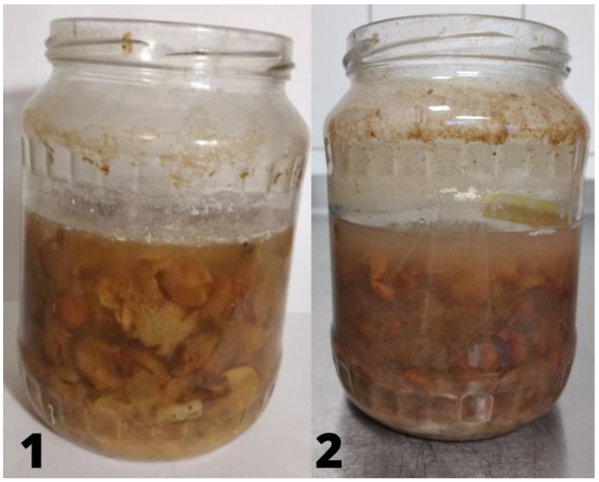 Molecules 26 07616 g002