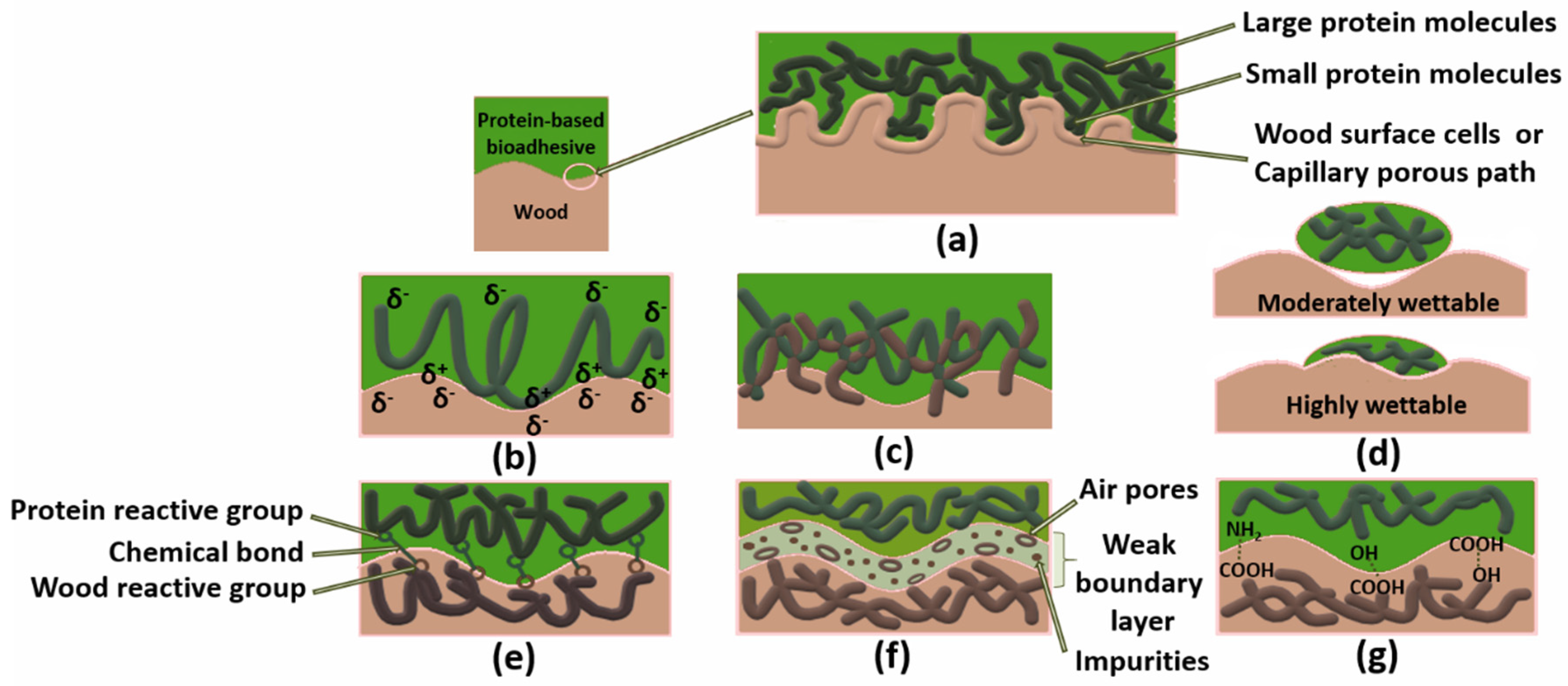 Molecules 26 07617 g002
